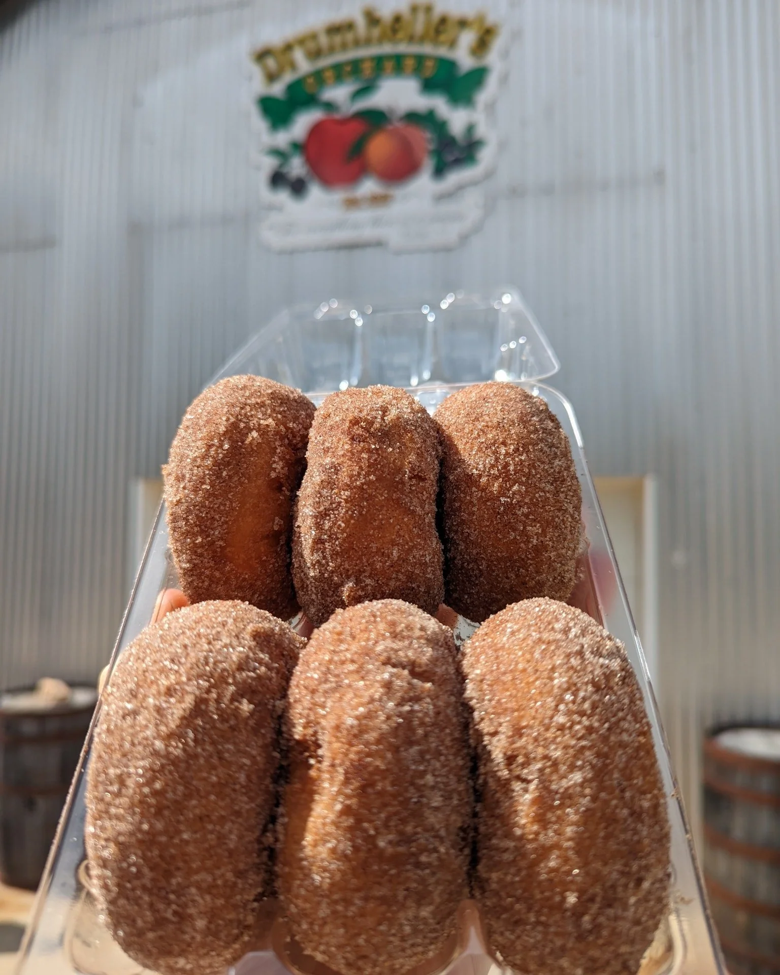 BIG NEWS: we picked up more APPLE CIDER DONUTS from Drumheller's Orchard in Nelson County which means we'll have APPLE CIDER DONUT SUNDAES through our last day, November 2nd! A locally made apple cider donut with cinnamon caramel sauce, pecans (optio
