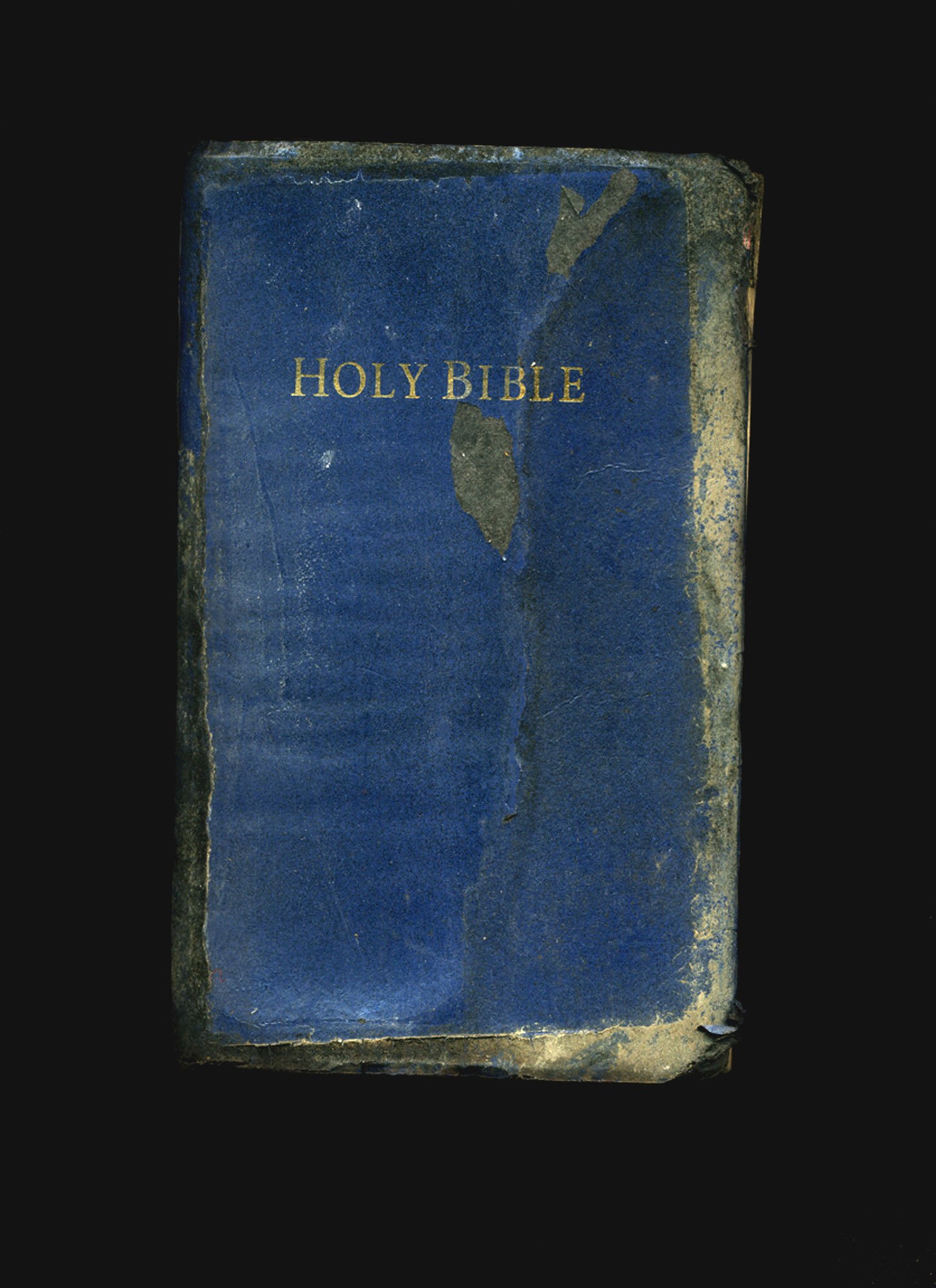 Lapis Bible, 2006