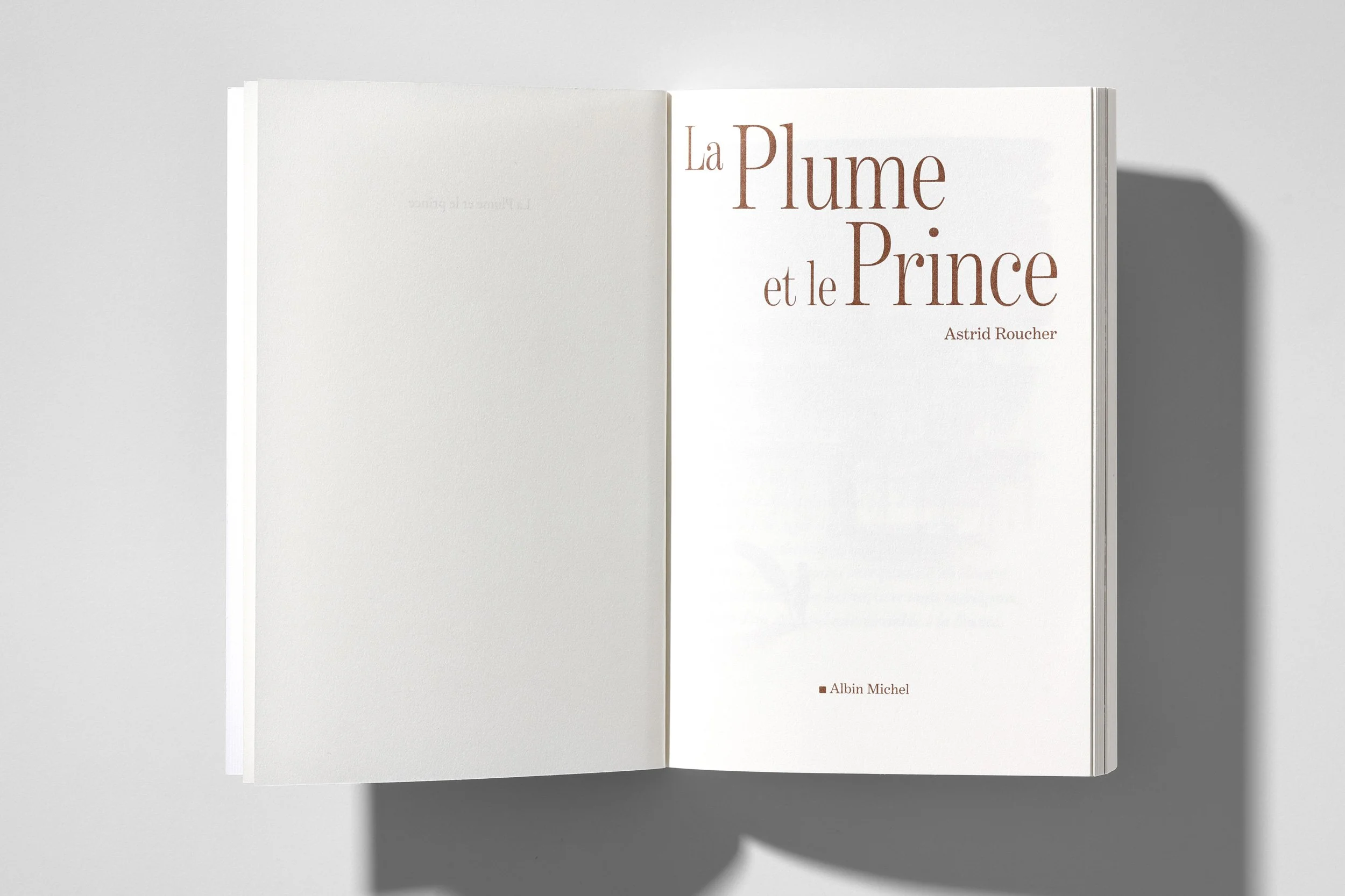 adrienne-bornstein-plume_et_le_prince-02.jpg
