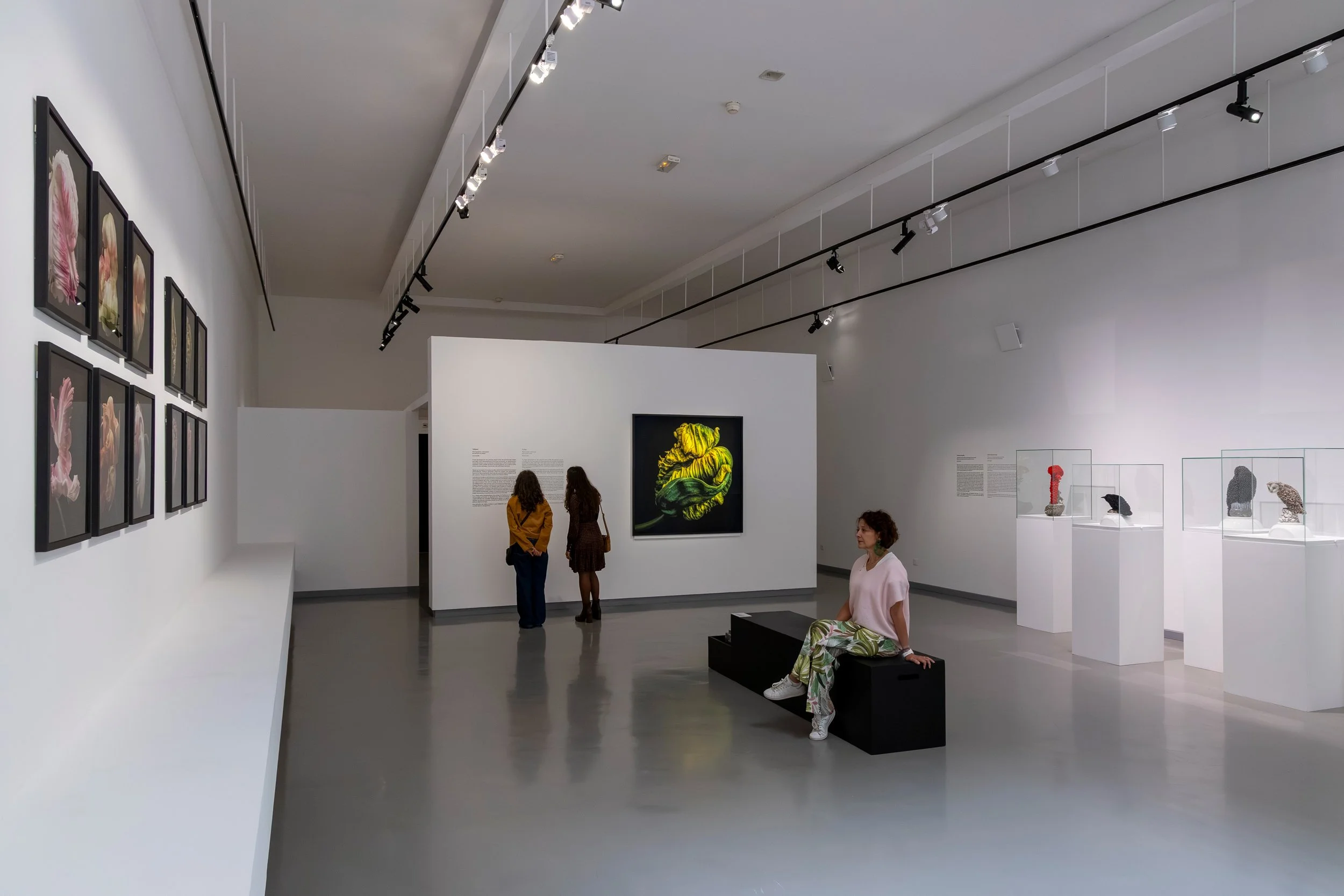 adrienne-bornstein-galante-lancman-14.jpg
