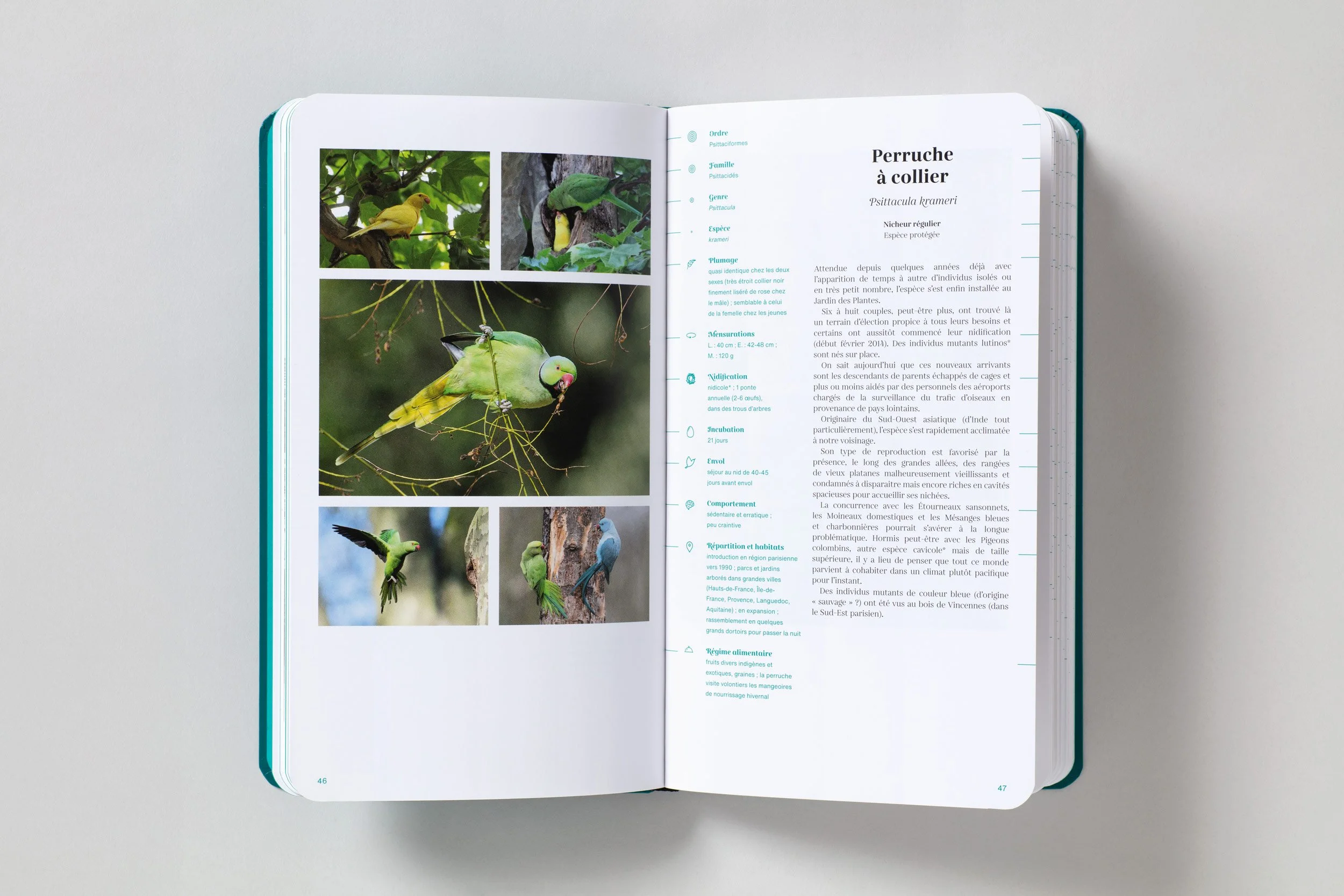edition-oiseaux-jardin-des-plantes-museum-adrienne-bornstein_18.jpg
