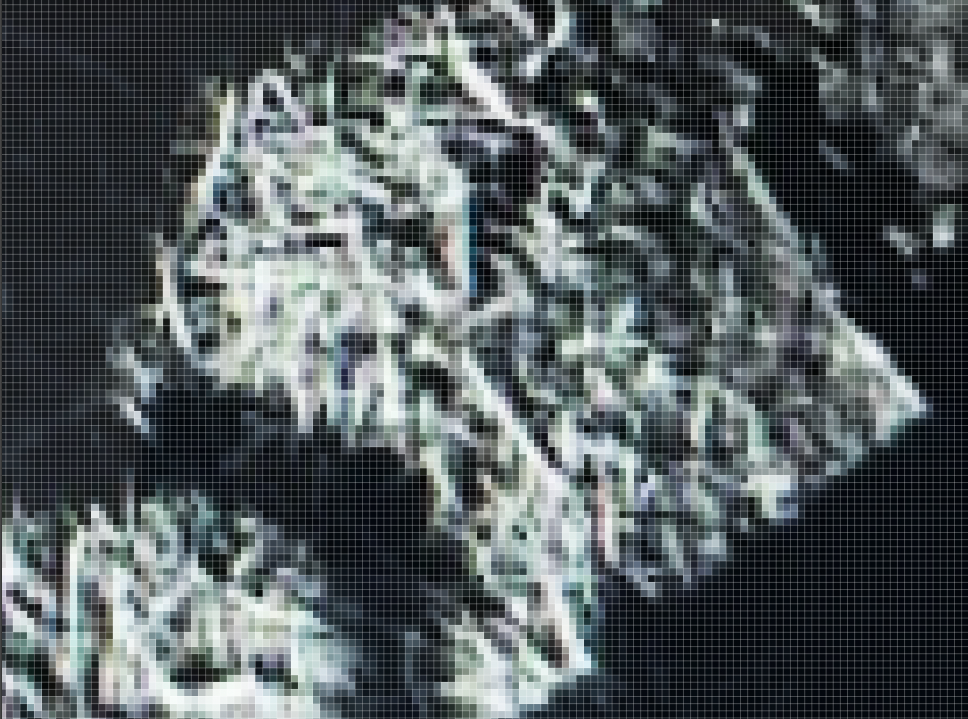 POLESE_screenshots of Maria Hernandez_05:24:202326.png