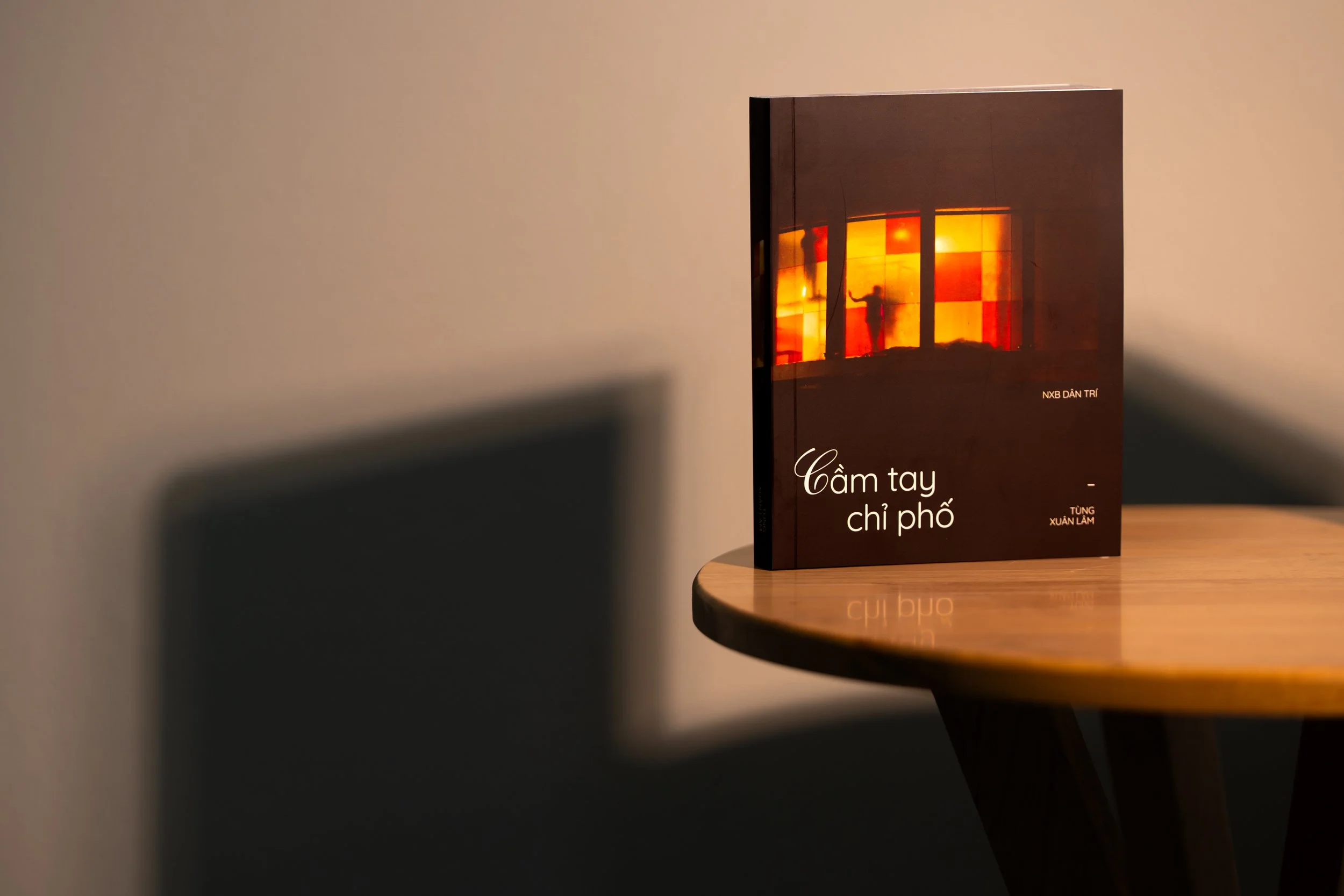 Cầm tay chỉ phố (2026)