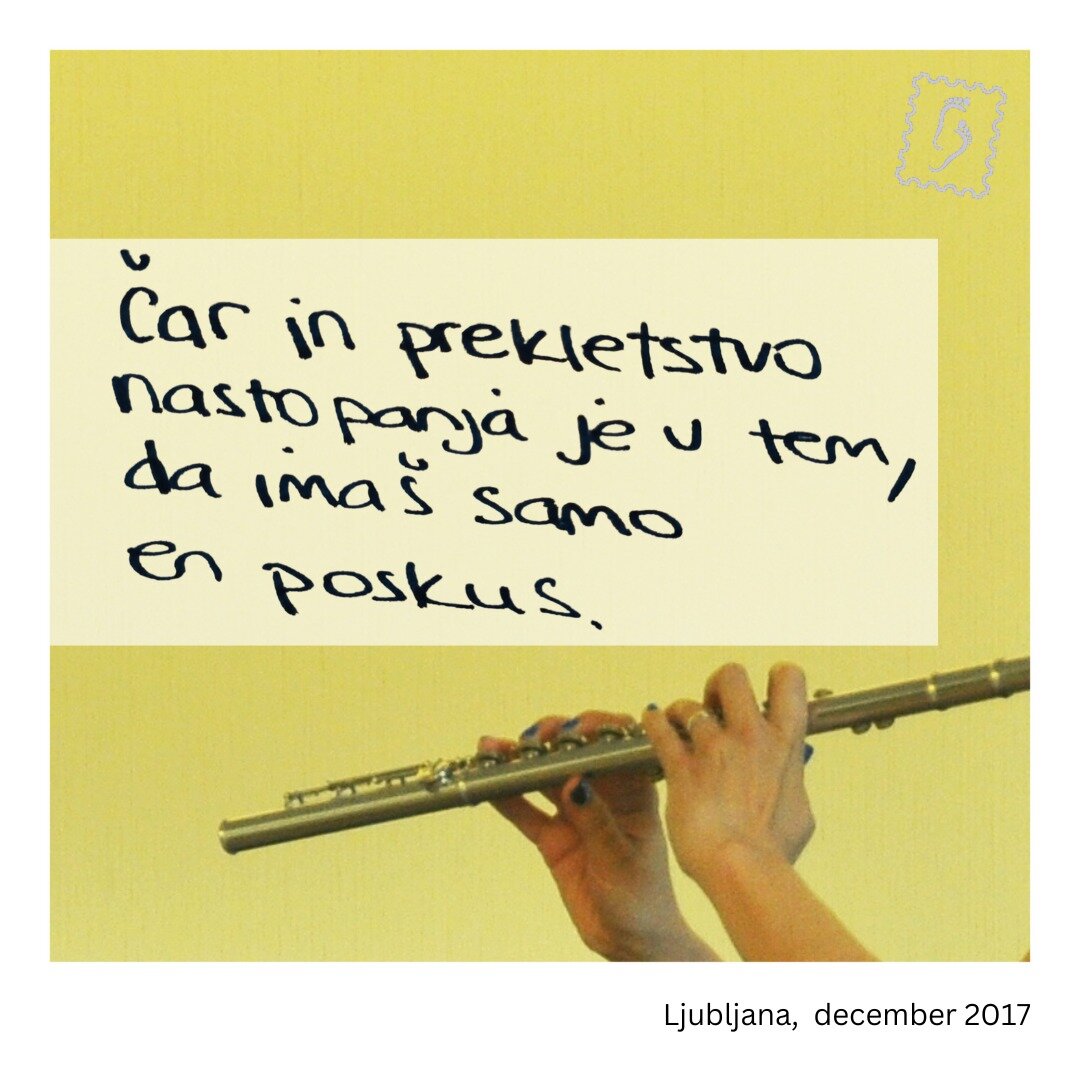 Smo le nekaj minut pred nastopom. Člani simfoničnega orkestra s svojimi in&scaron;trumenti v rokah porazdeljeni stojimo na stopnicah v zaodrju Filharmonije in čakamo na aplavz, ki bo povedal, da je napovedovalka zaključila z napovedjo. 

Glasbeniki o