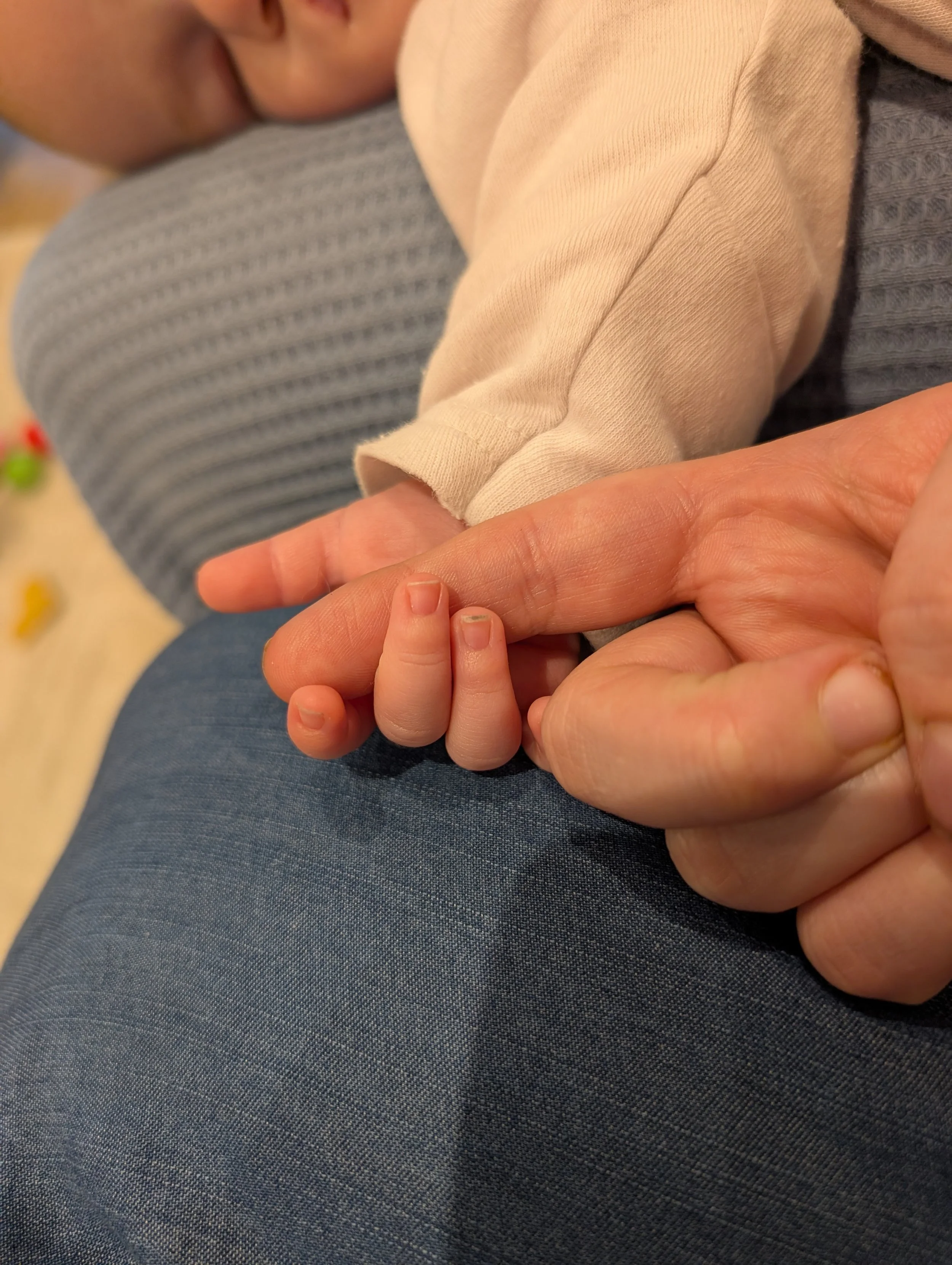 The Perfect Guest for a Postnatal Mum