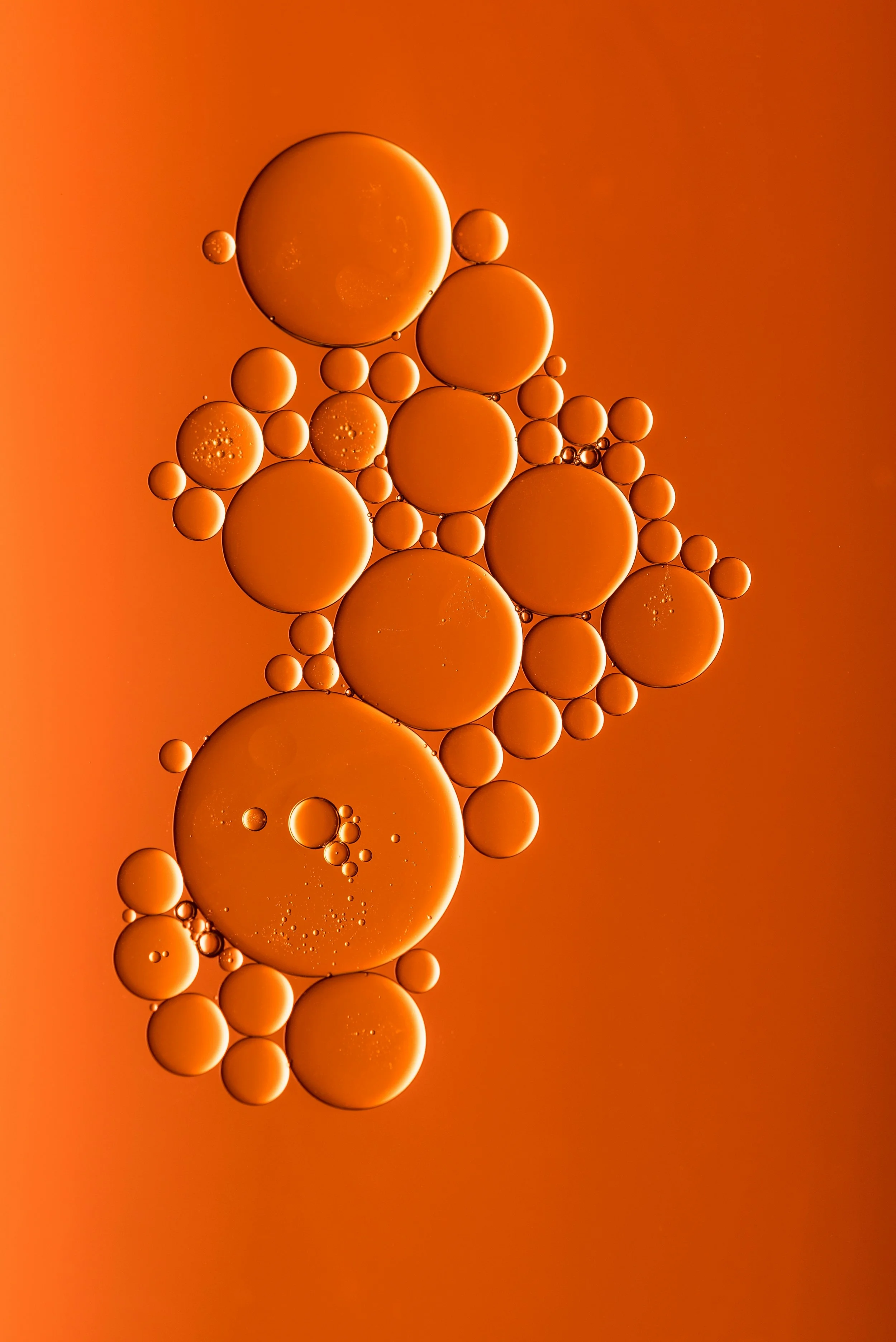 Orange Face Skin Oil