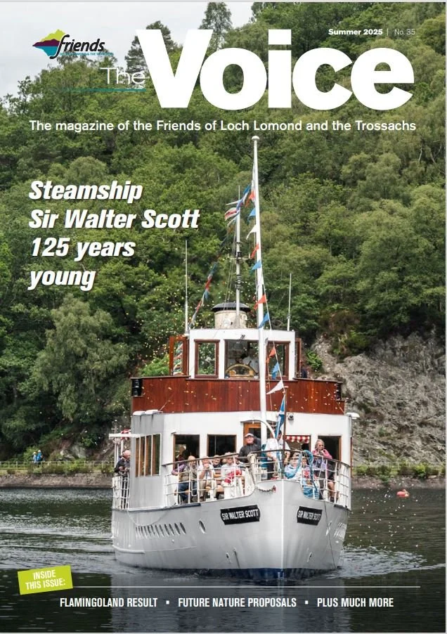 Voice Summer 2025 (35)