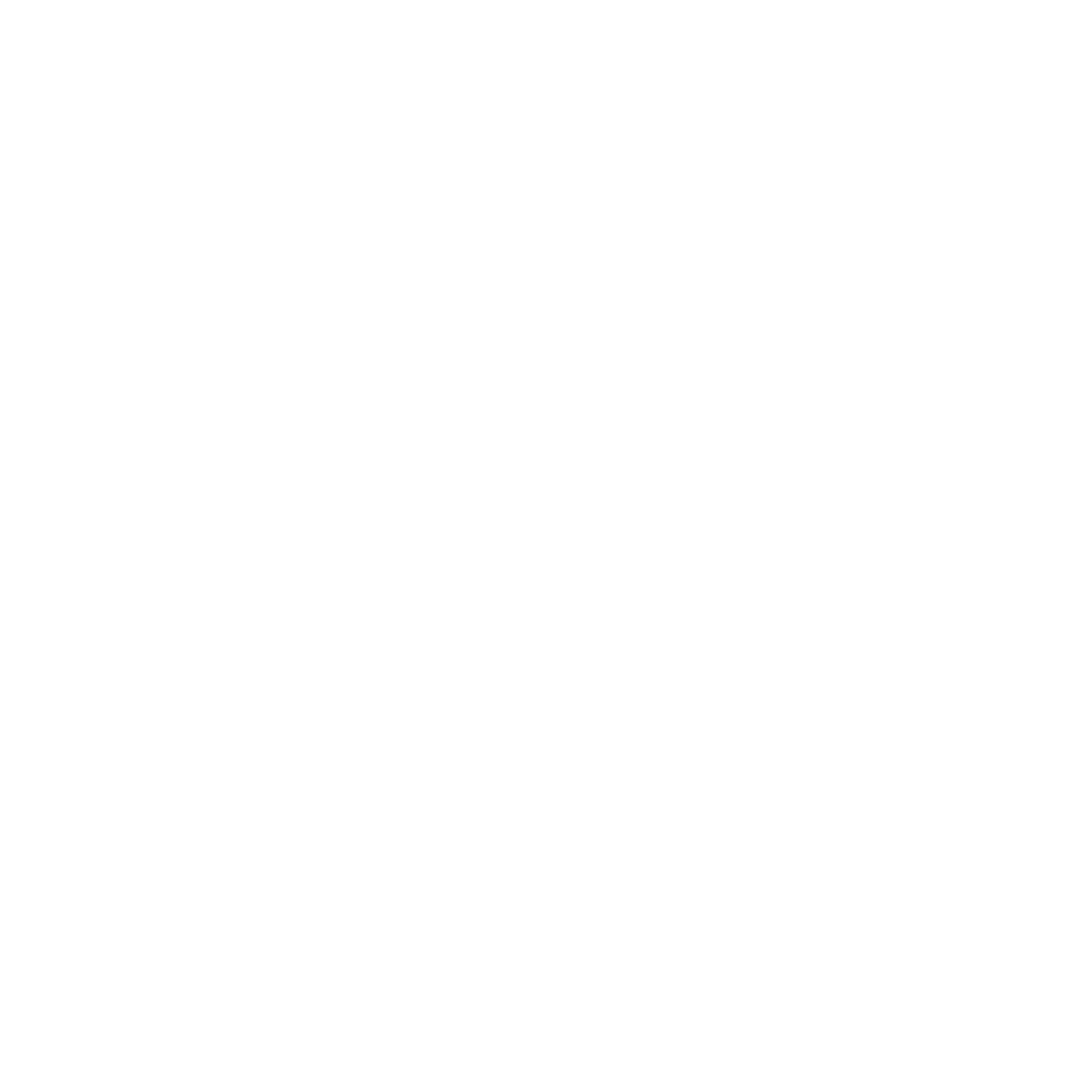 Rock Luggage.png
