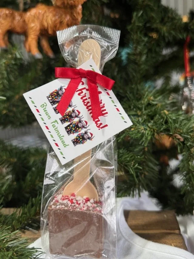 Hot Chocolate on a Stick