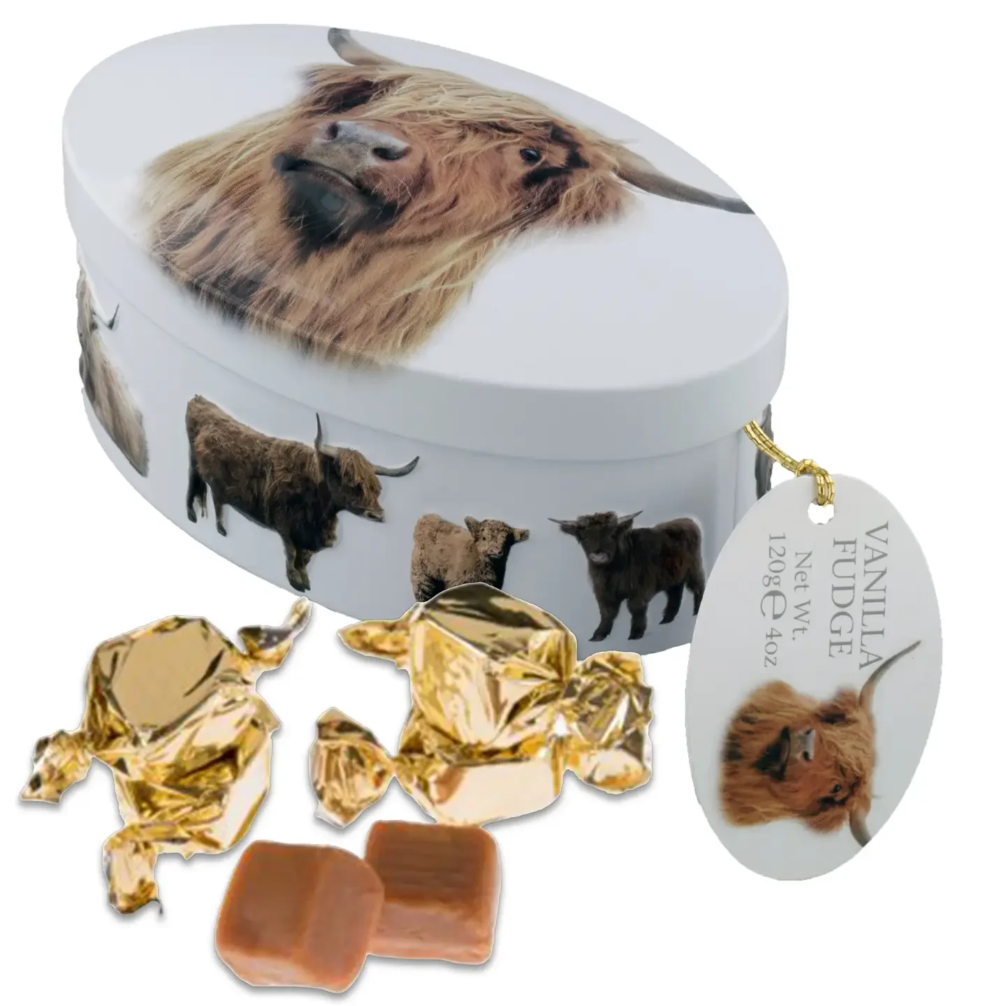 Highland Cow Tin with Vanilla Fudge