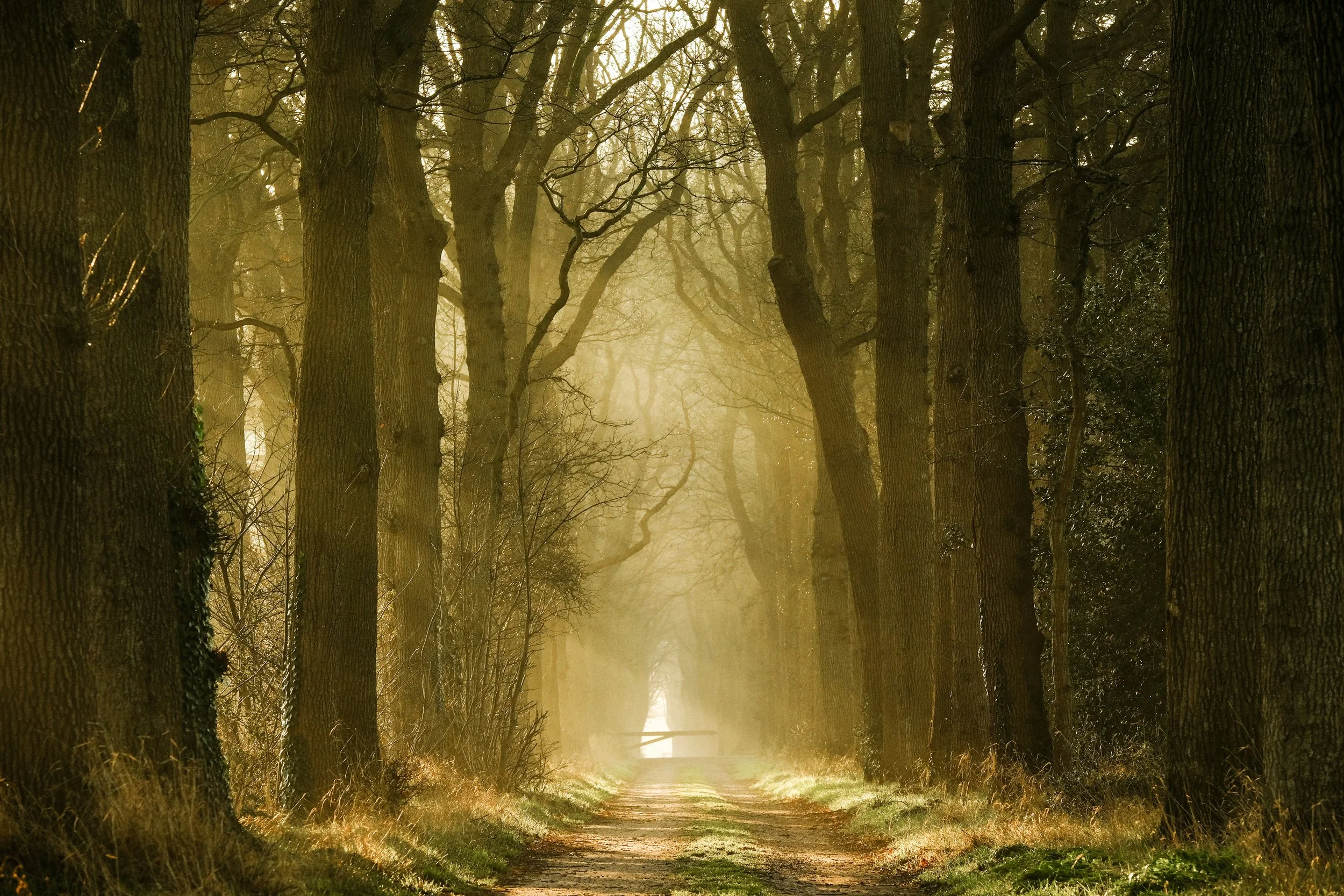 Choosing What to Do When You’re Not Sure You Should