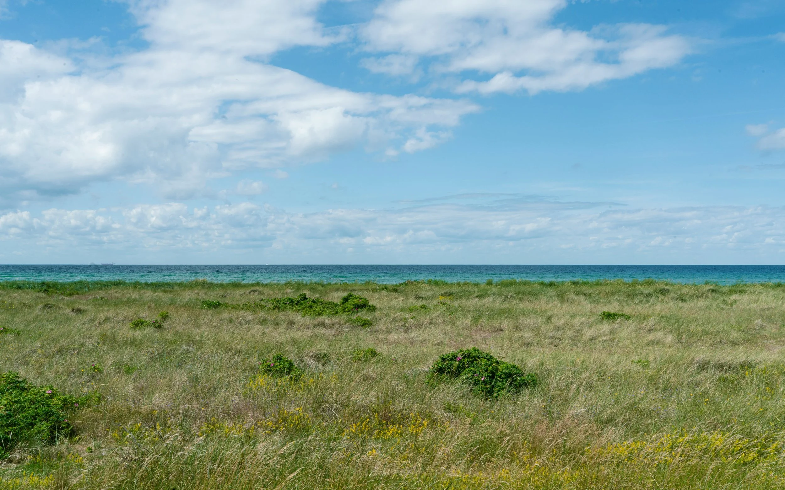 Finding the Best Way Forward