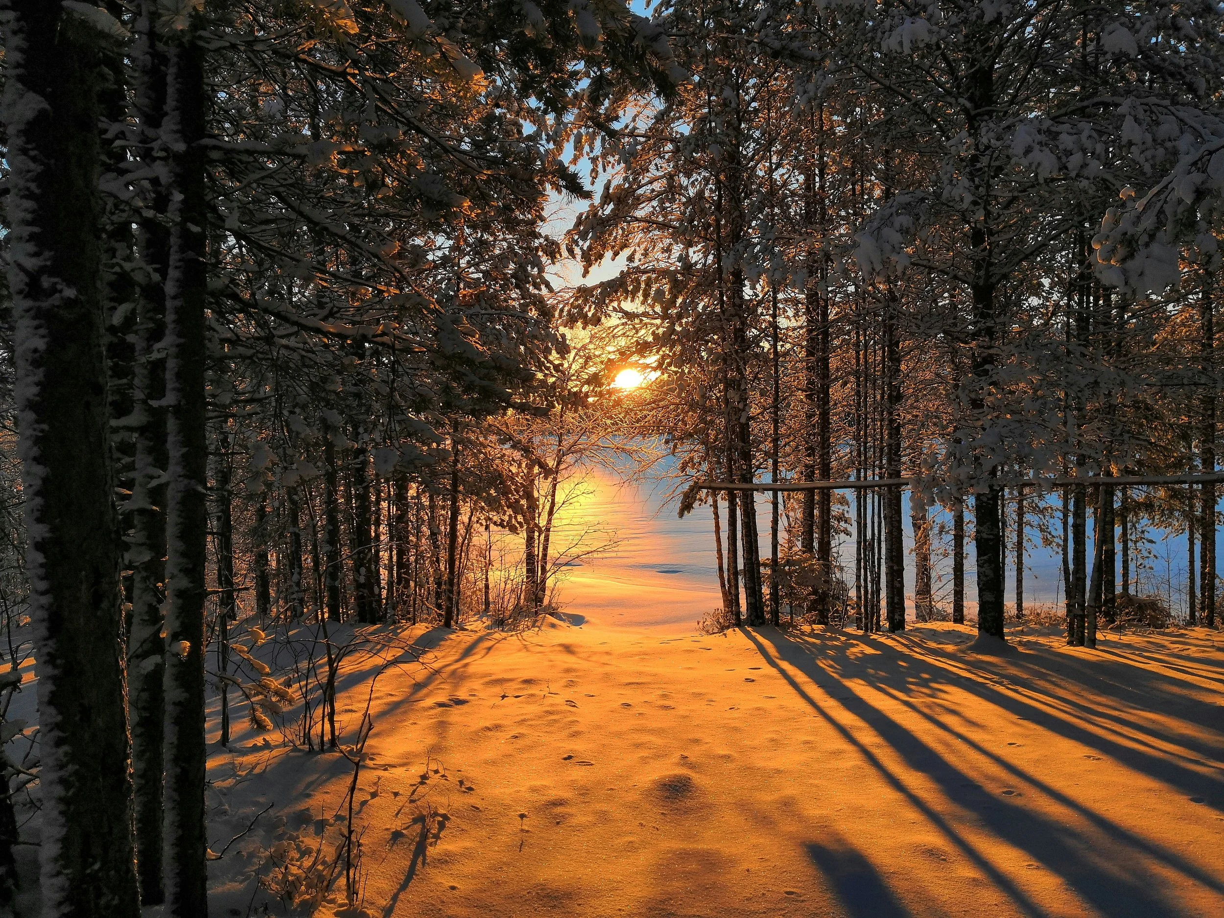 The Responsibility of Living Your Life Well