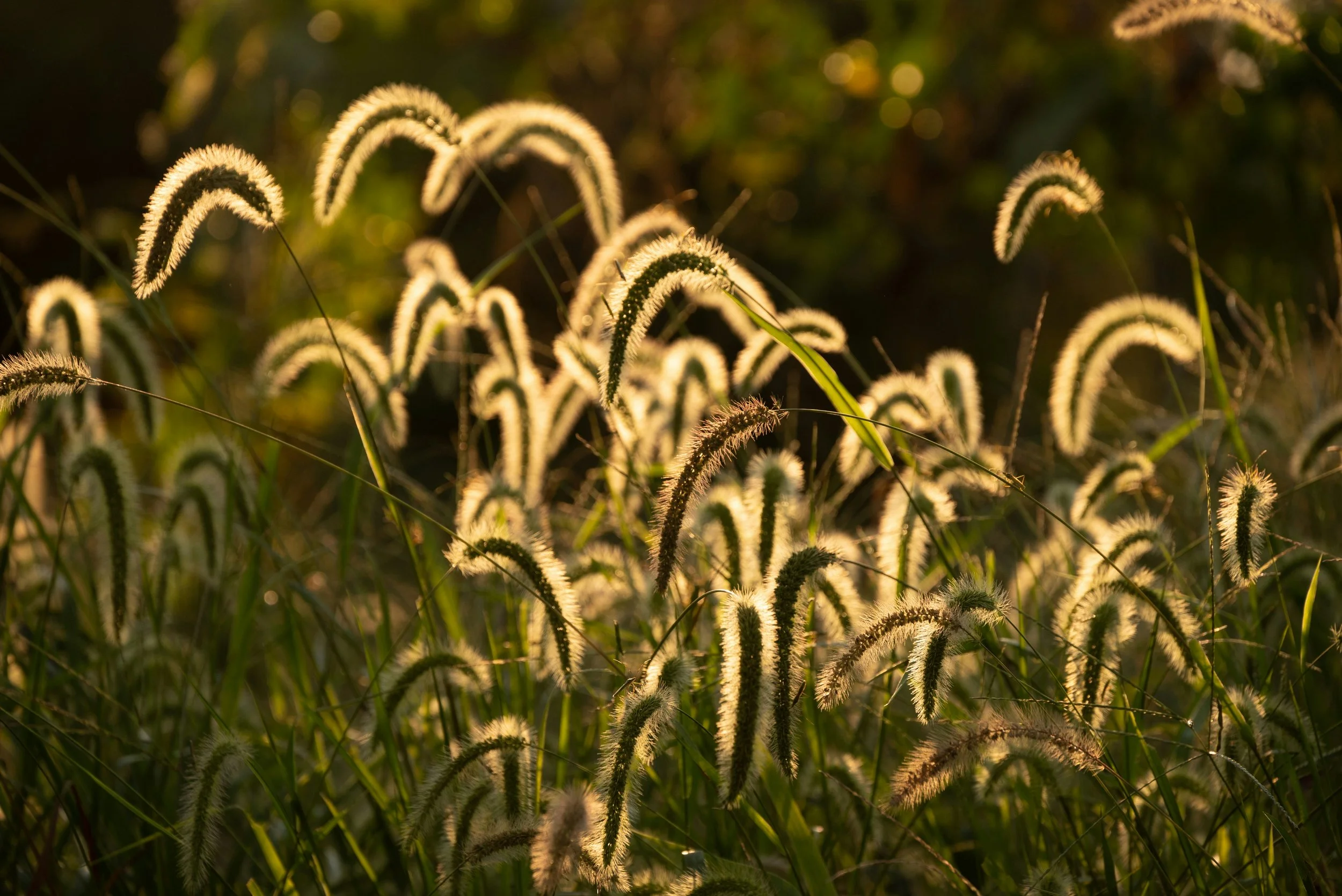 Taking Care of Your Life