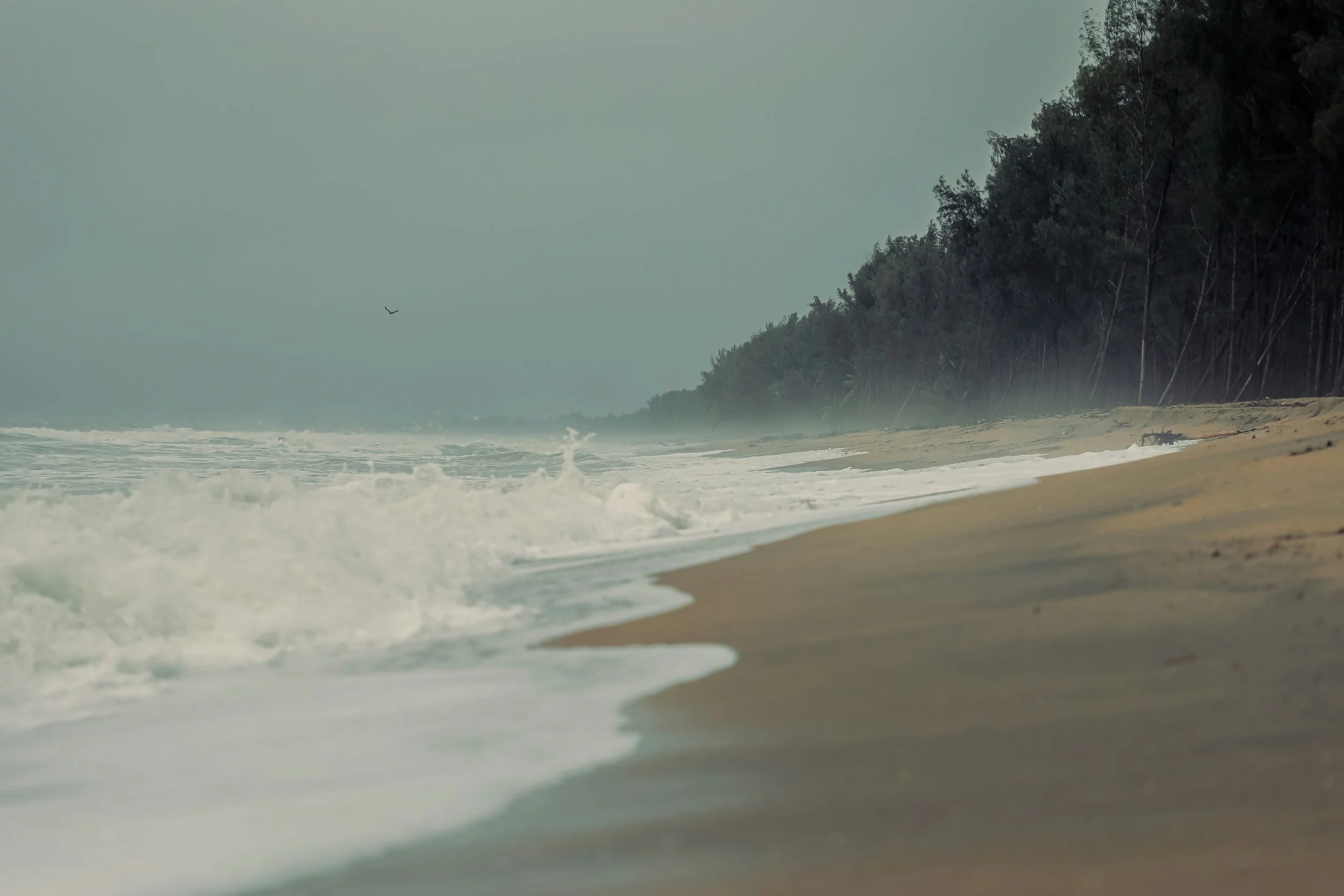 How to See What Your Life Is Showing You