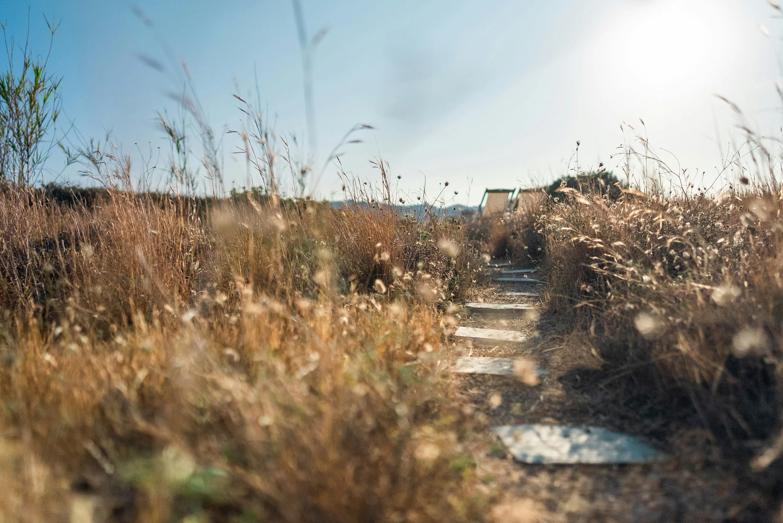 The Limits of Your Life and When They Change