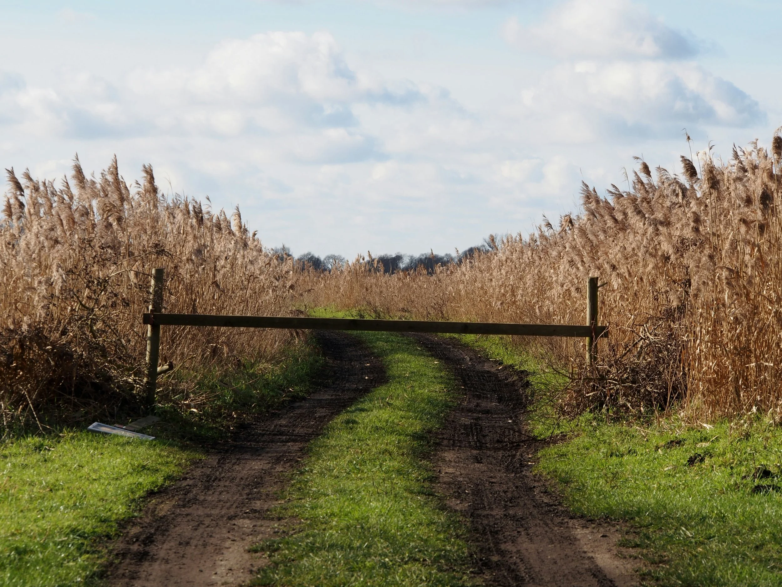 When Your Choices Start to Narrow