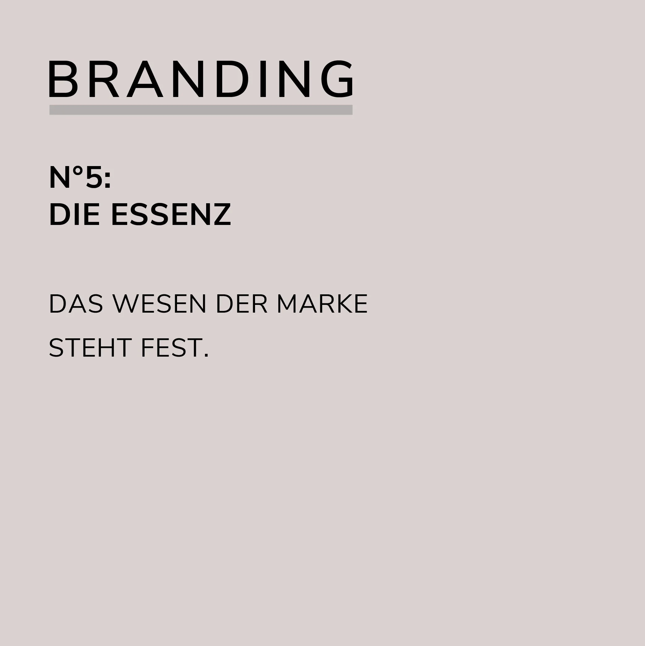 Branding_NK-32.jpg