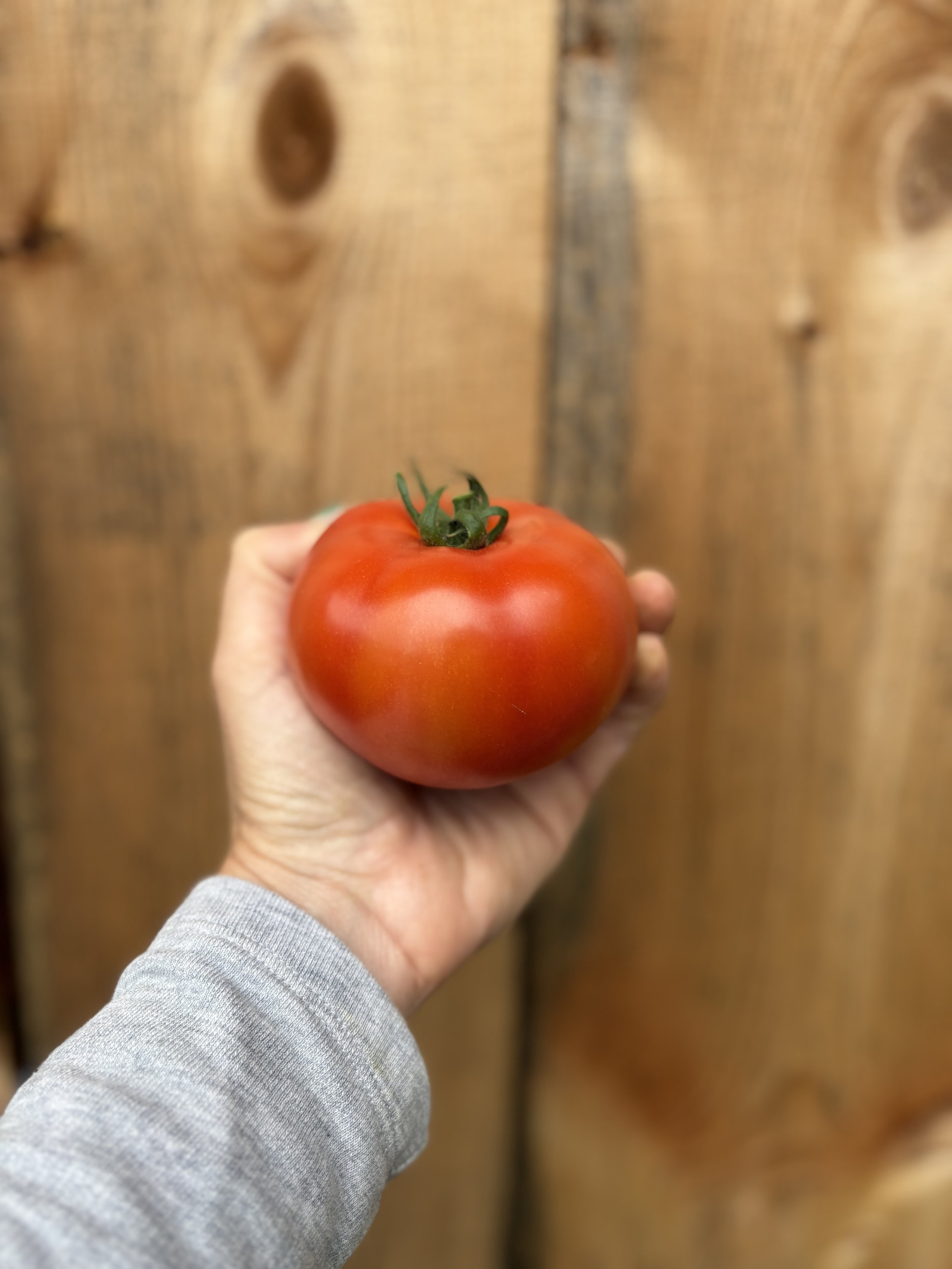 tomato store.jpg