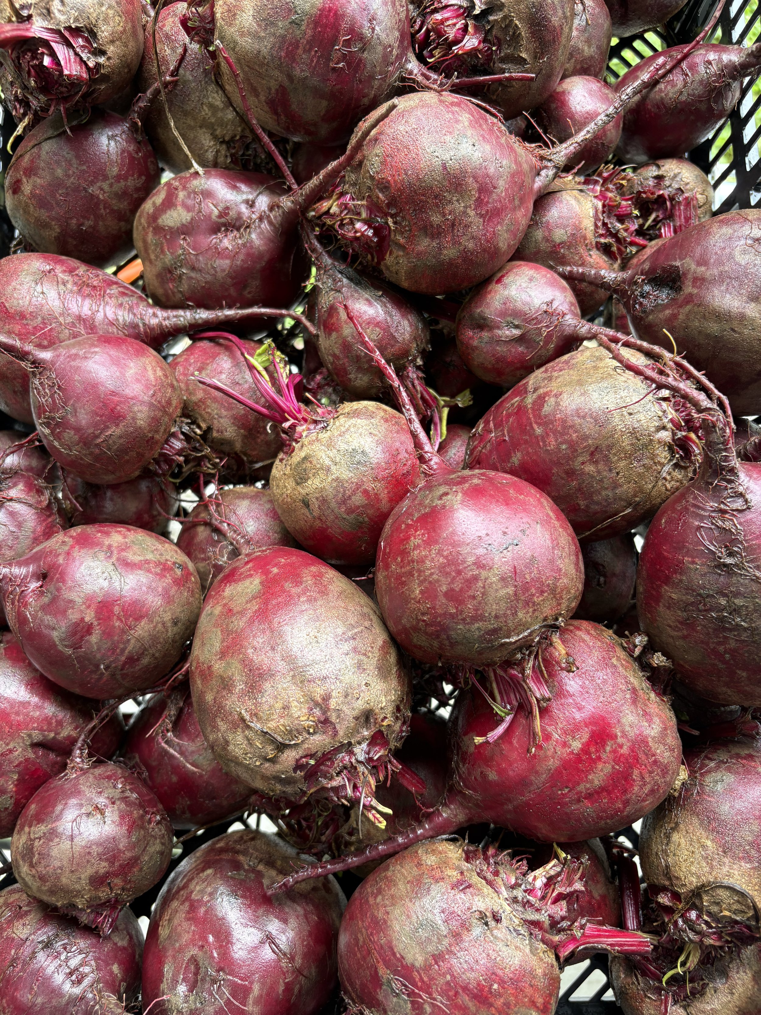 beets store.jpg