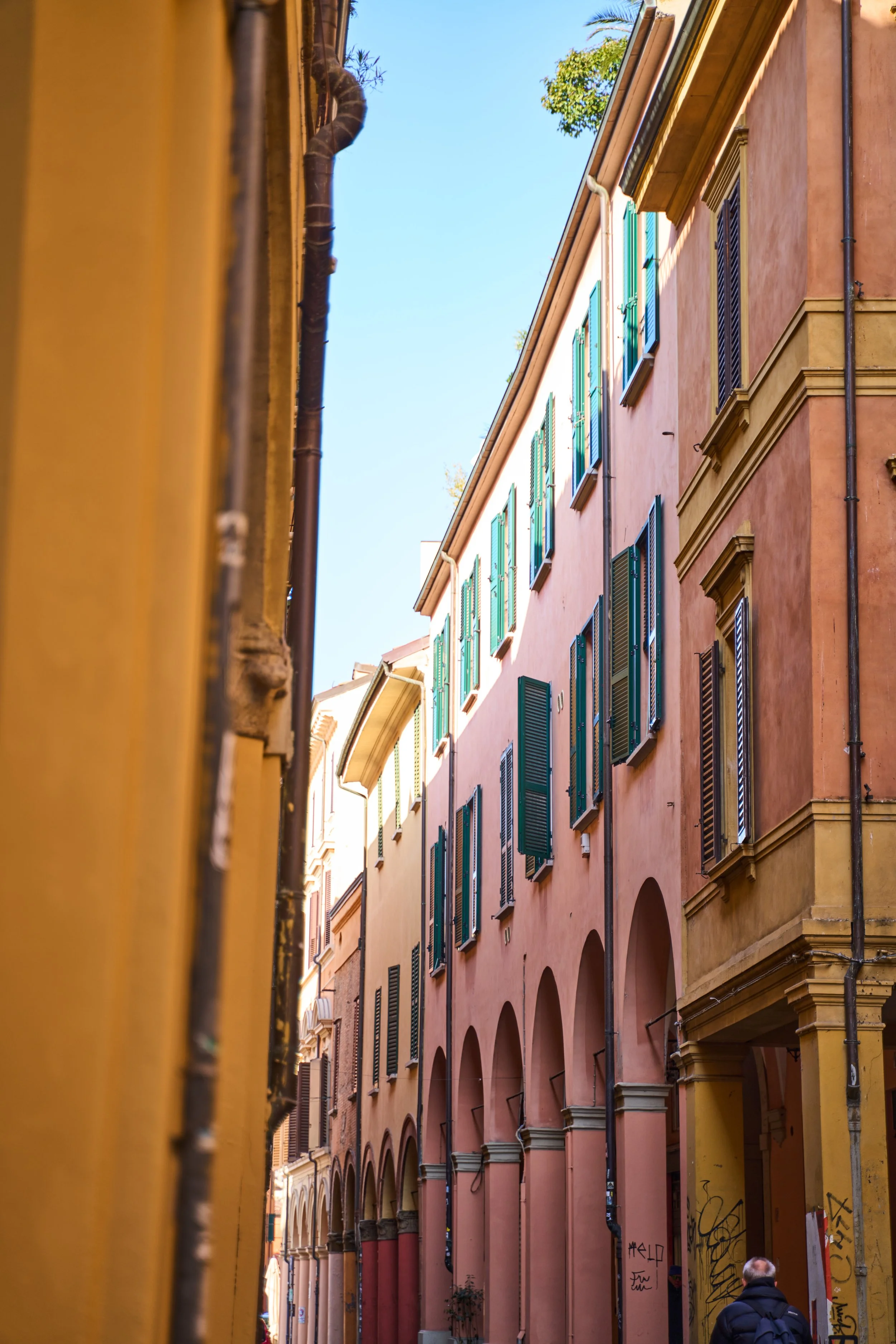 Solo passione web 6.jpg