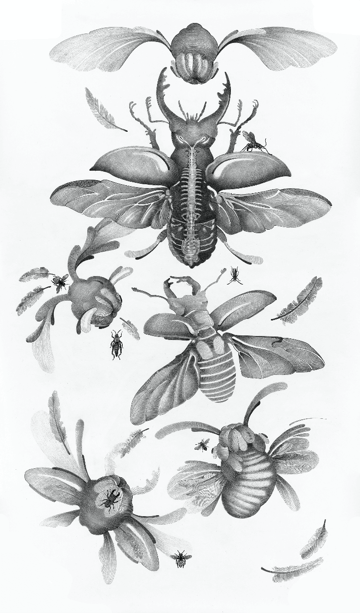  Robert Gabris,  Becoming an Insect , 2023. Photo: courtesy of the artist. 