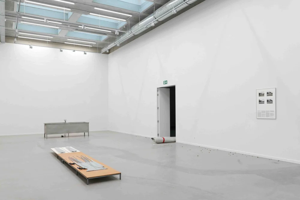  Aaron Amar Bhamra and Céline Mathieu, installation view at Jester, 2025. Photo: Aaron Amar Bhamra 