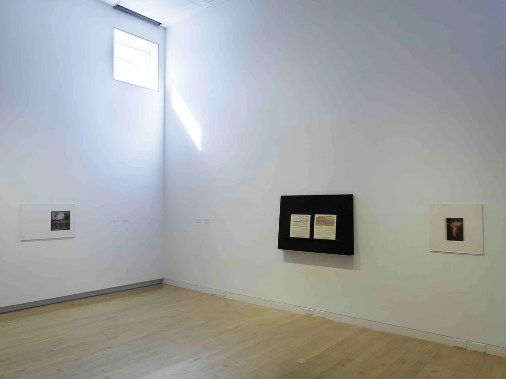  Martin Beck,  …for hours, days, or weeks at a time  at The Aldrich Contemporary Art Museum, Connecticut, USA, 2025. Photo: courtesy the artist and Adam Bernier 