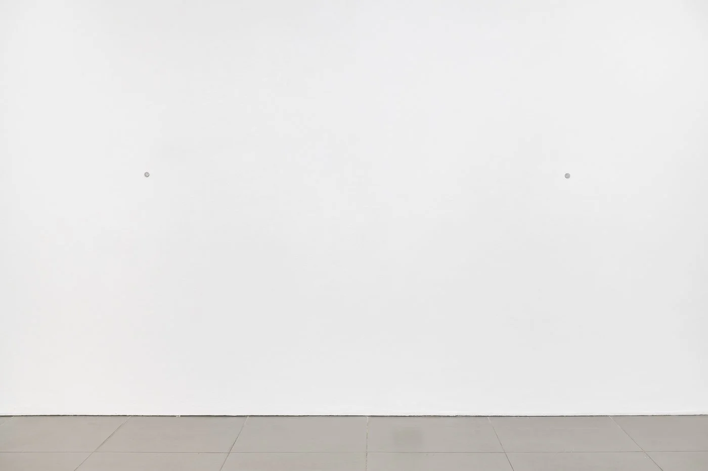 Tanja Widmann Johannes Porsch Produced by, installation view of -1, plus One , 2025 at Cell Project Space, London, UK. Courtesy Cell Project Space, Photo: Damian Griffiths