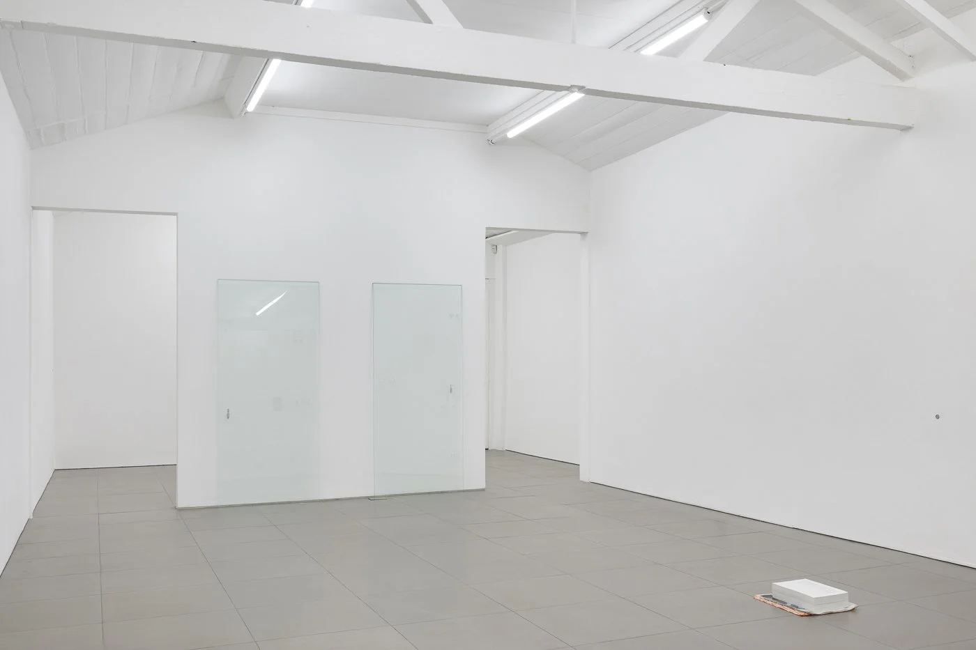 Tanja Widmann Johannes Porsch Produced by, installation view of -1, plus One , 2025 at Cell Project Space, London, UK. Courtesy Cell Project Space, Photo: Damian Griffiths