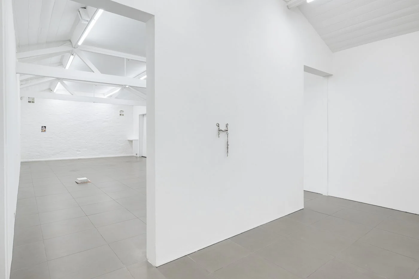 Tanja Widmann Johannes Porsch Produced by, installation view of -1, plus One , 2025 at Cell Project Space, London, UK. Courtesy Cell Project Space, Photo: Damian Griffiths
