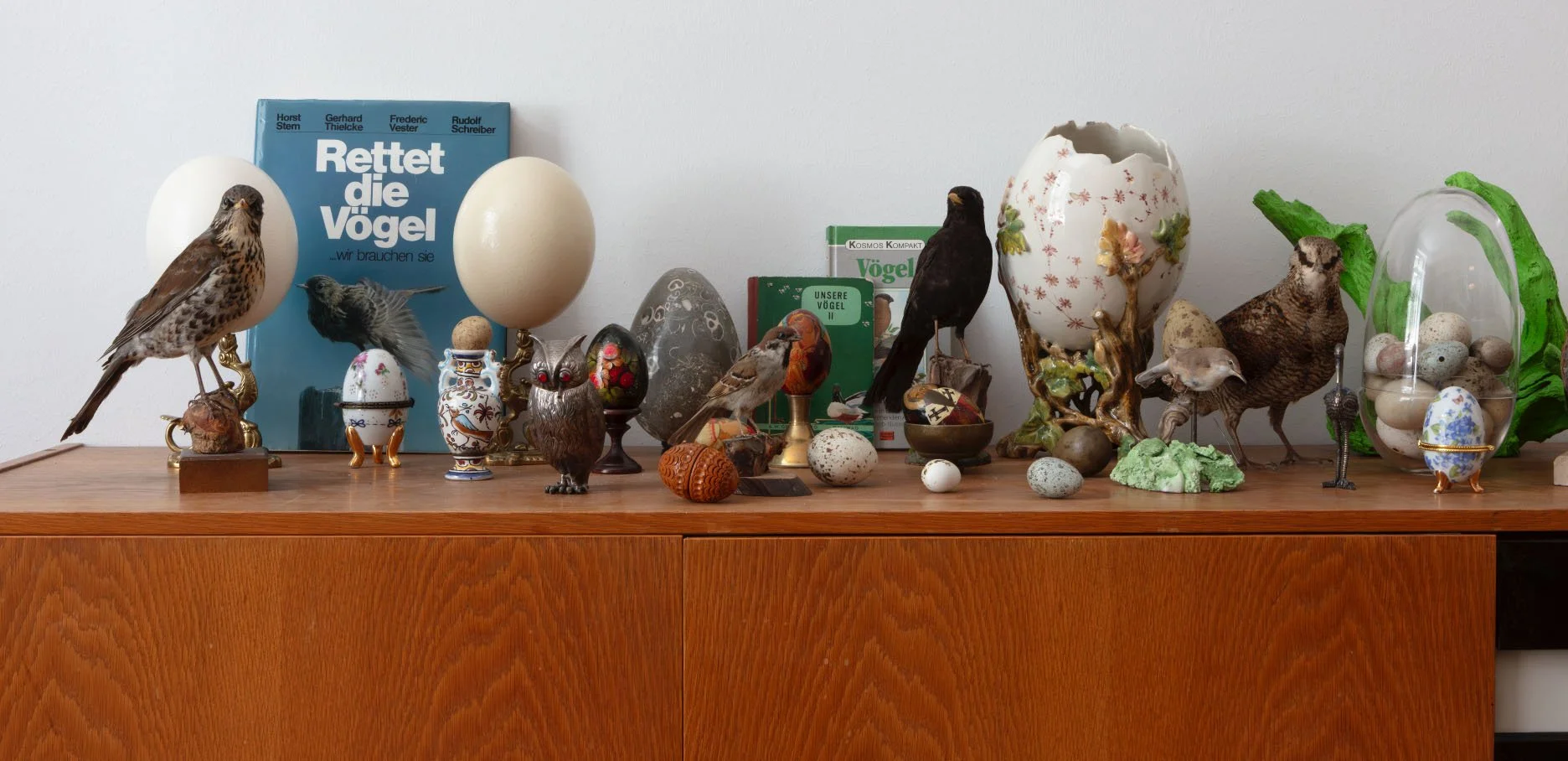 Claudia Larcher, Extinction Story , 2025. Photo: courtesy the artist