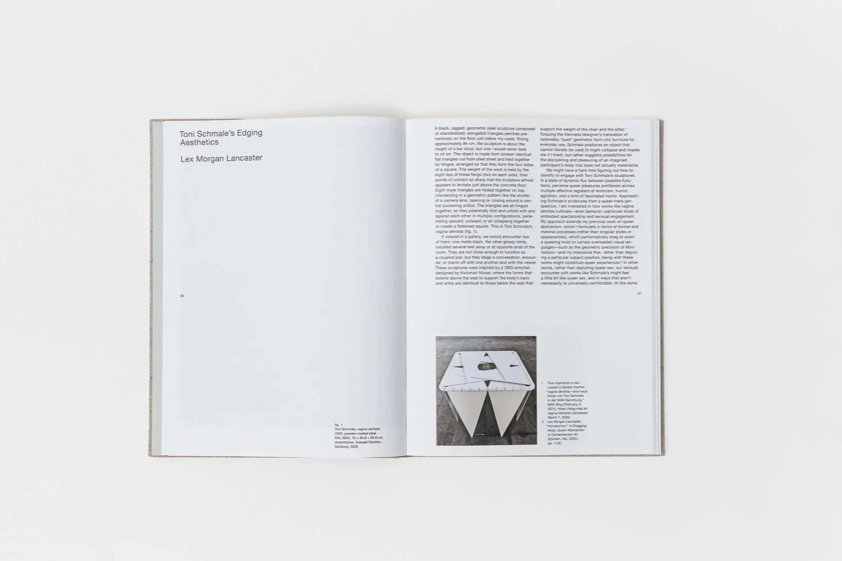  First Monograph, Toni Schmale,  Toni Schmale’s Edging Aesthetics  by Lex Morgan Lancaster, 2025. Photo: Kunst-Dokumentation.com/Manuel Carreon Lopez 