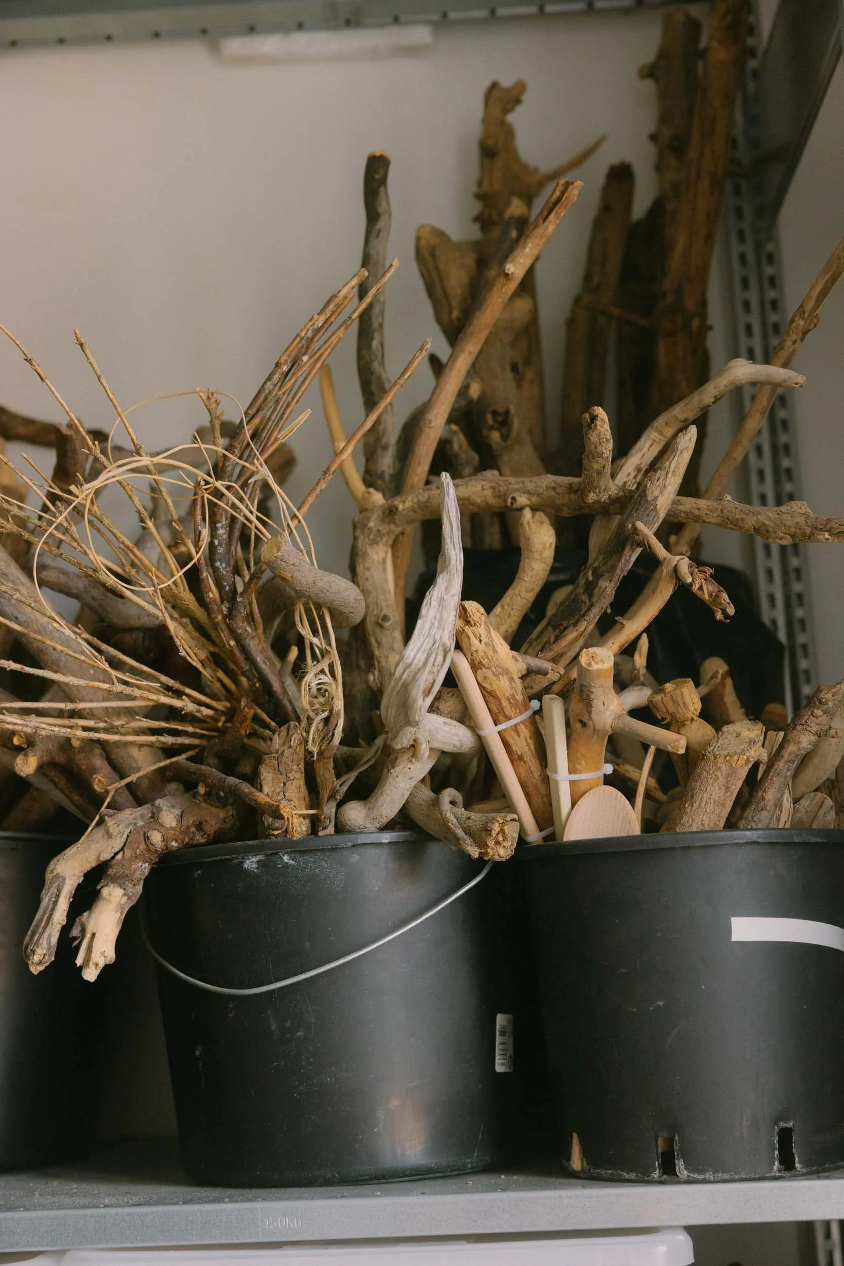  Studio Portrait, Birke Gorm. Photo: Marcella Ruiz Cruz 
