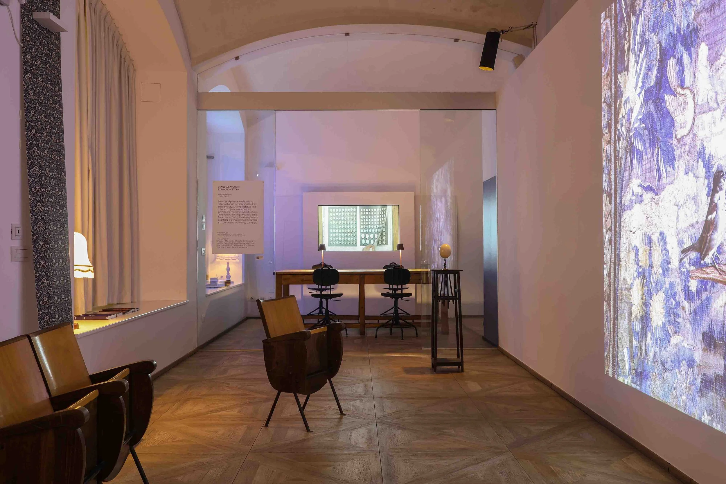  Claudia Larcher, installation view of  Extinction Story , 2025. Photo: Alessandro Santi 