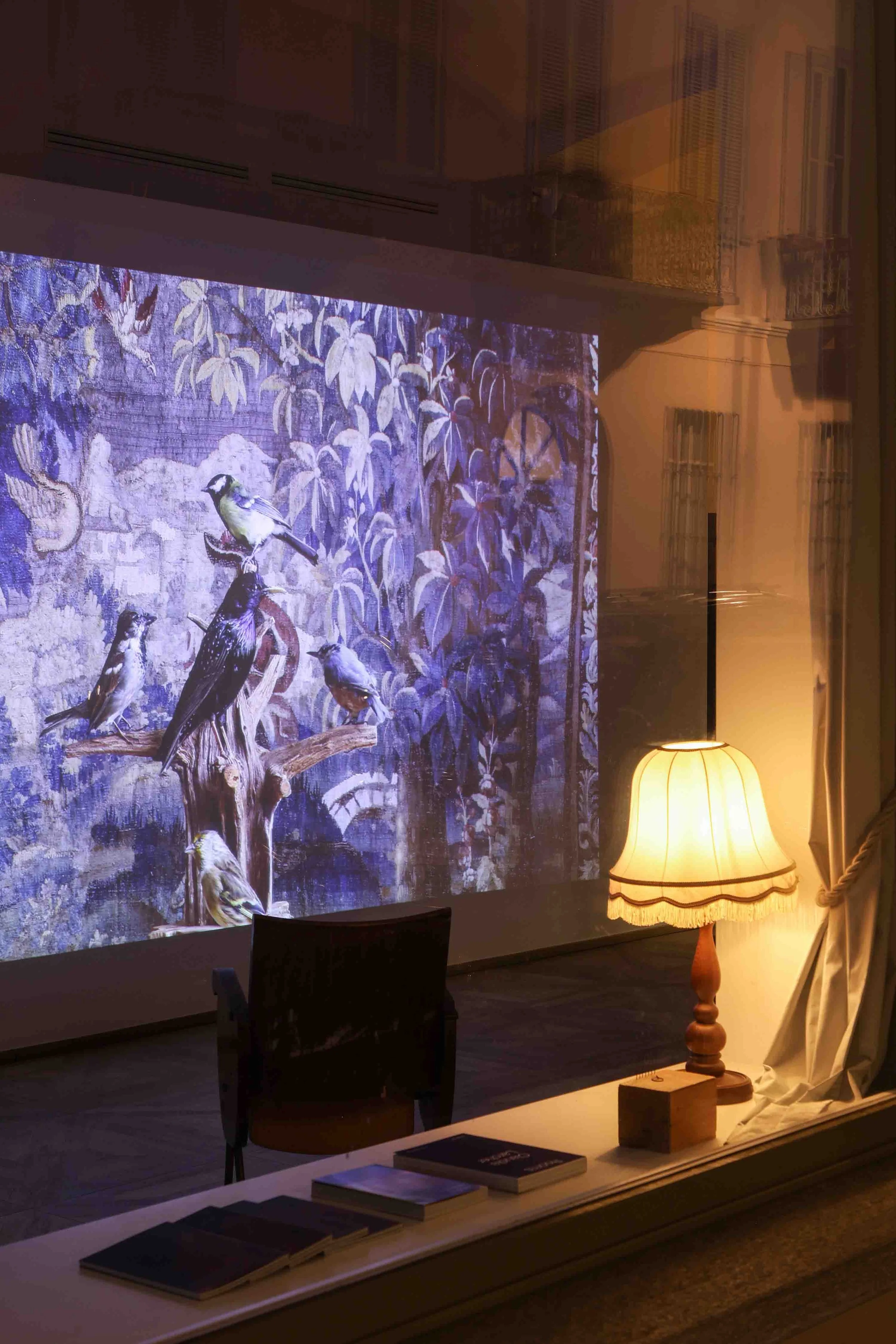 Claudia Larcher, installation view of  Extinction Story , 2025. Photo: Alessandro Santi 