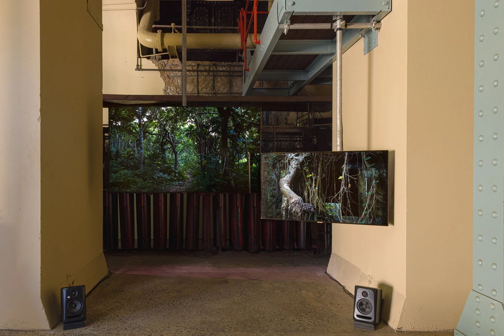  Hui Ye,  Songs of Oblivion: Prelude,  2019–2026. This version was created for the Biennale of Sydney with generous support from Phileas - The Austrian Office for Contemporary Art, and Federal Ministry Housing, Arts, Culture, Media, and Sport Republi