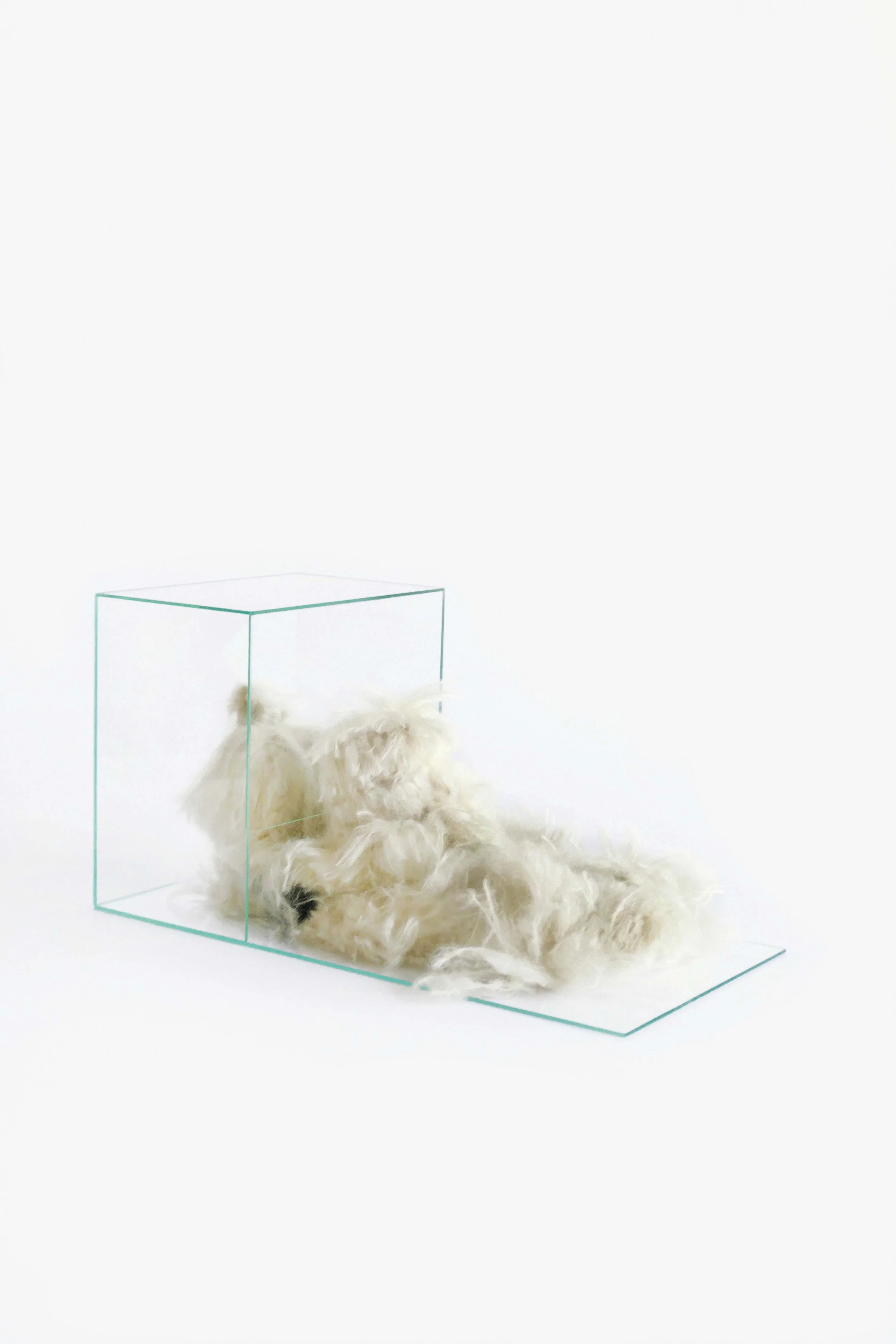  Marina Faust,  Untitled   (object nr. 12) , 2005 