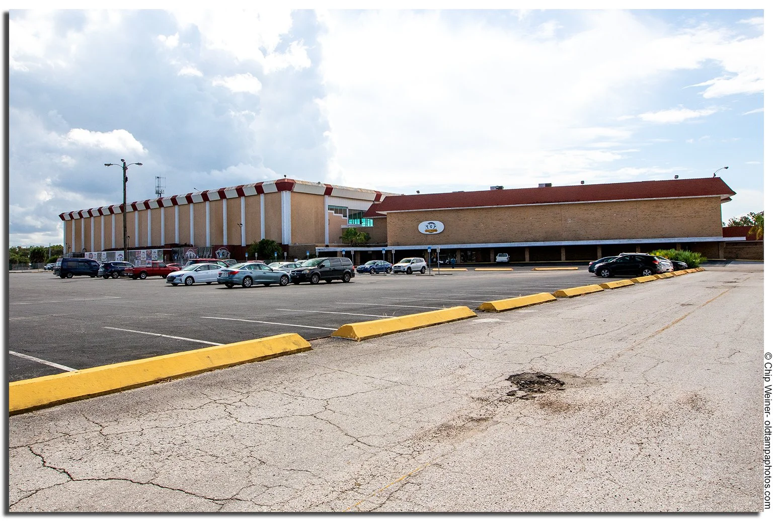Sulphur Springs Dog Track — Old Tampa Photos Home