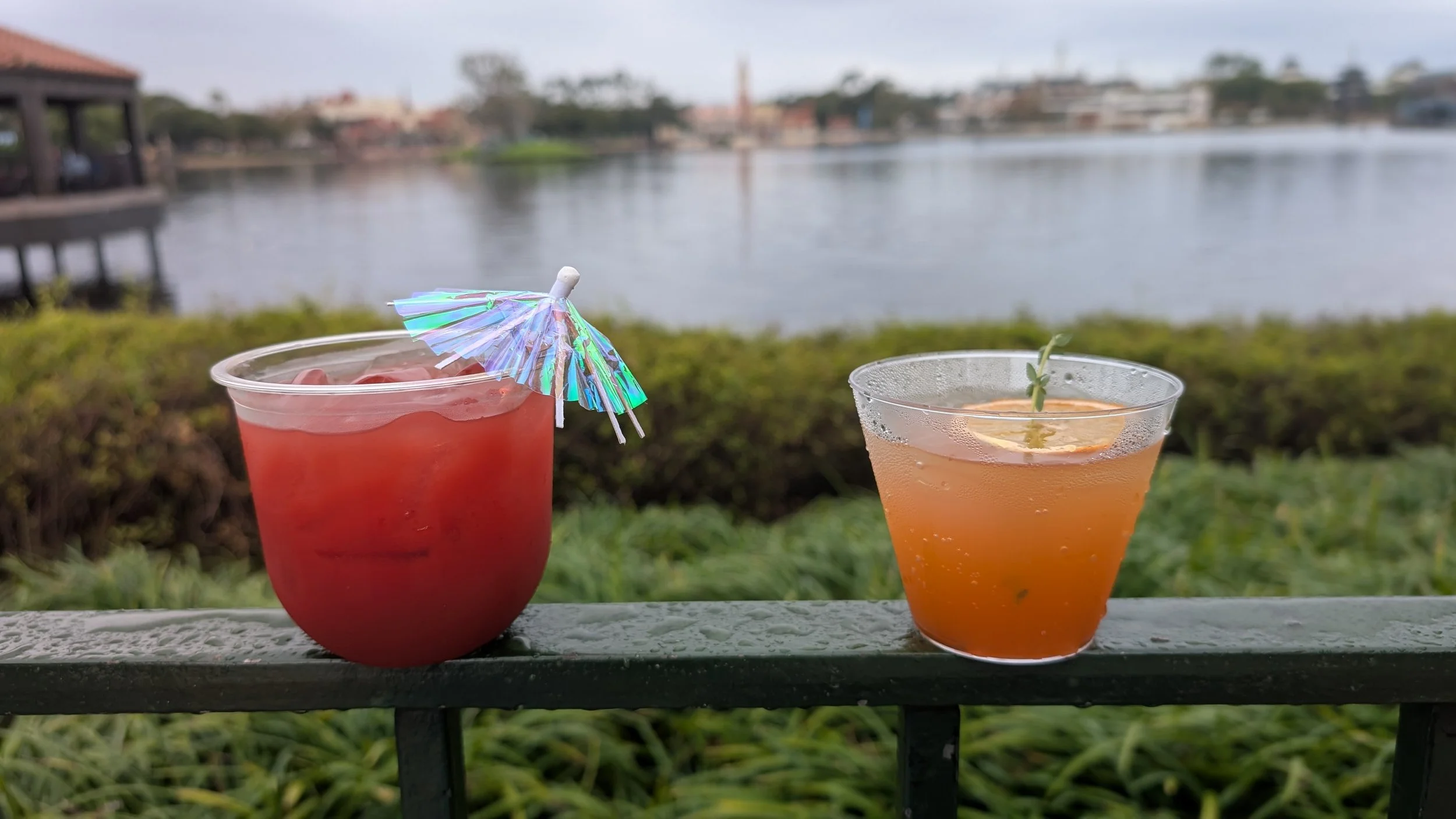 Day 1, Part 4:  Why Do We Keep Confusing Everyone at Disney?