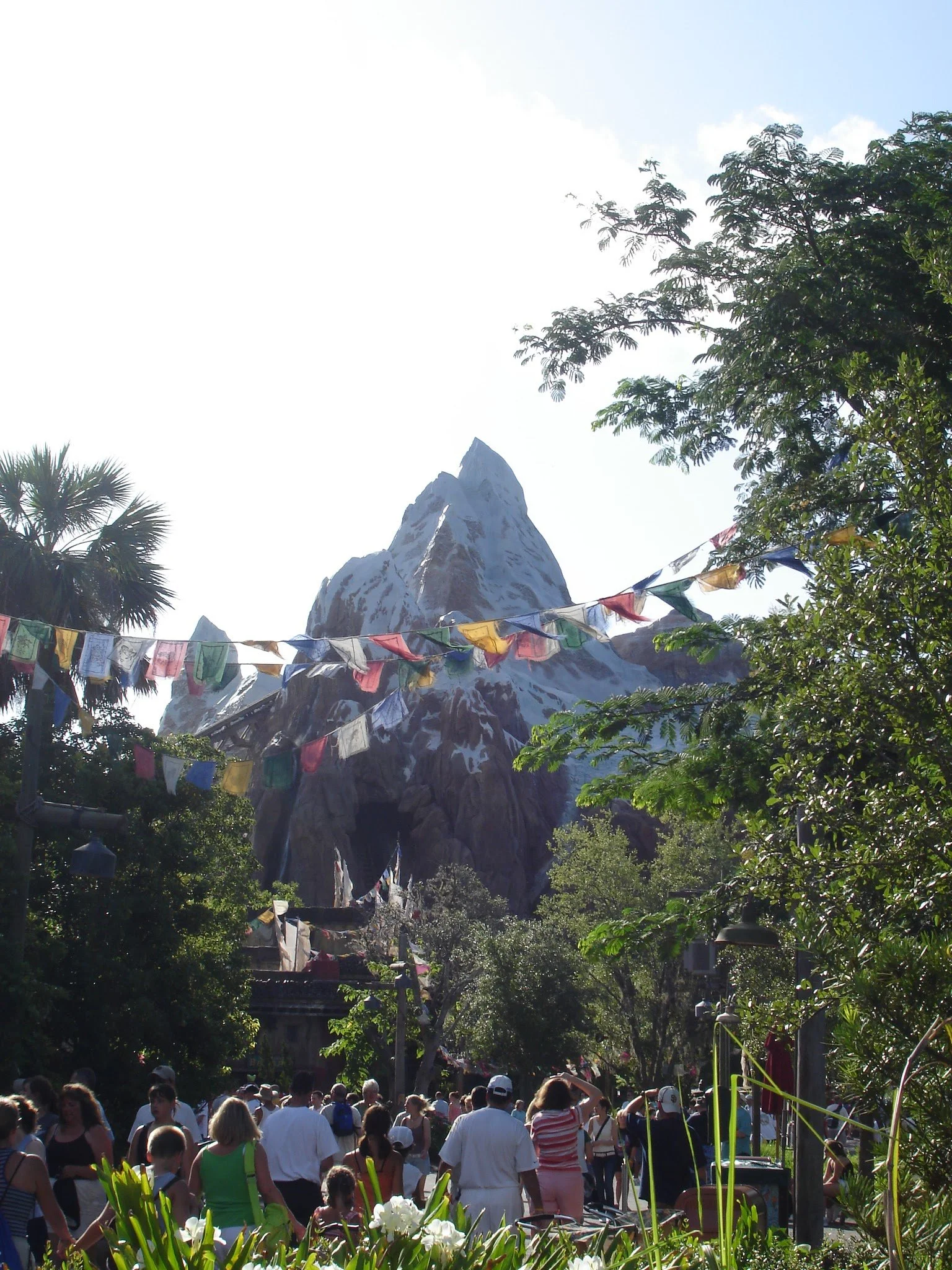 Animal Kingdom