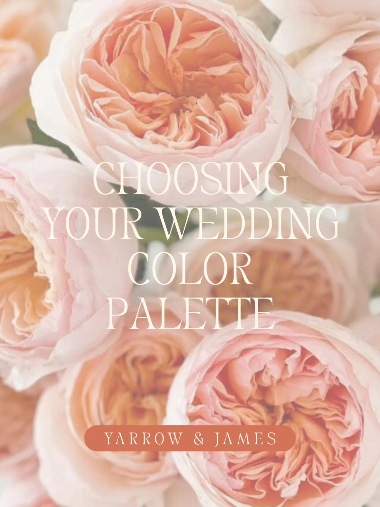 Choosing a wedding color palette doesn&rsquo;t have to feel like chasing trends in the wind. When it comes to your florals, trust your gut. What colors feel like you and your partner?

There are only so many white flowers to choose from&hellip; but c