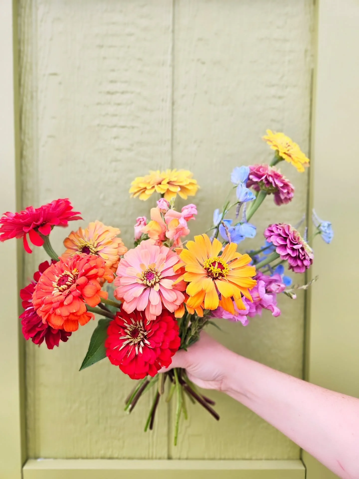 🏳️&zwj;🌈 PRIDE 🏳️&zwj;🌈

🌹🌺🌷🏵🌼🌱🪻💙

Pride is more than a month&mdash;it's a reminder that every person deserves dignity, safety, and the freedom to be exactly who they are.

At Yarrow &amp; James &amp; Creeksouth Farms, we celebrate divers