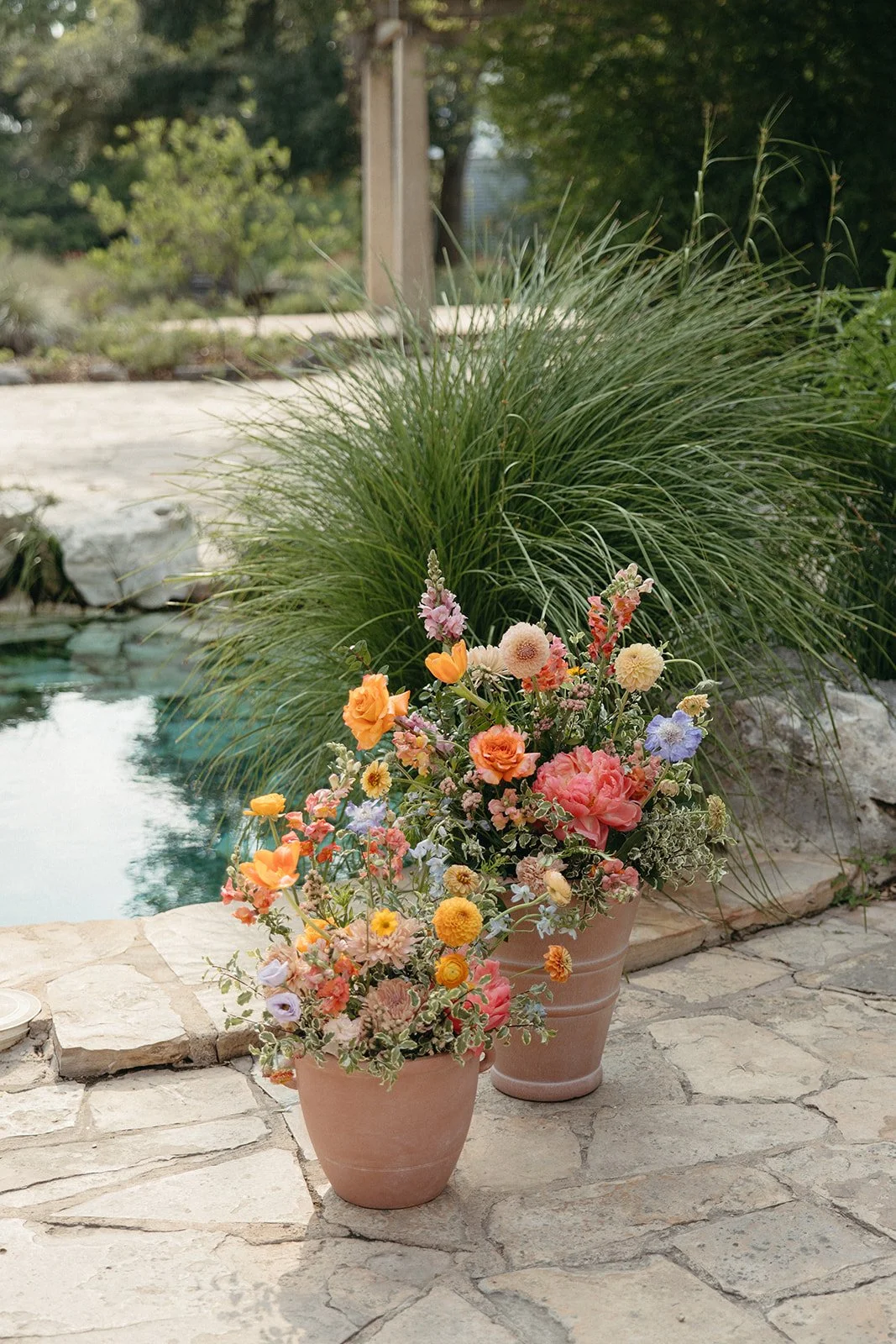 two floral arrangements in terracotta pots