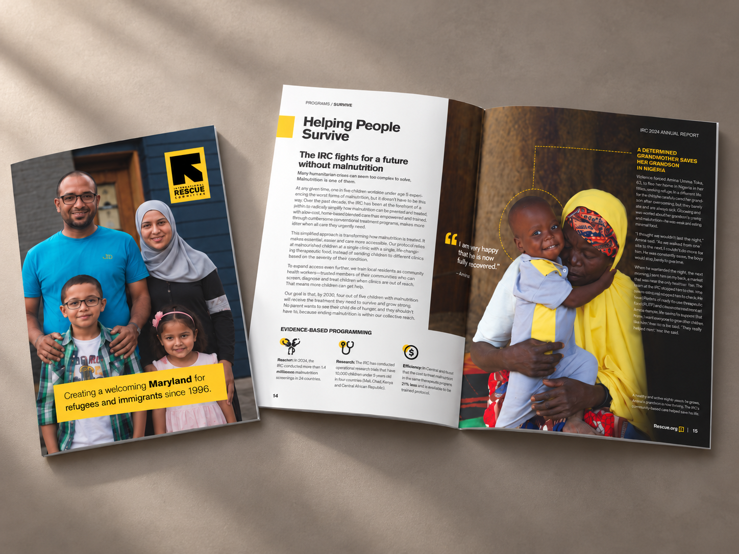 IRC — Annual Report + Direct Mail Campaign