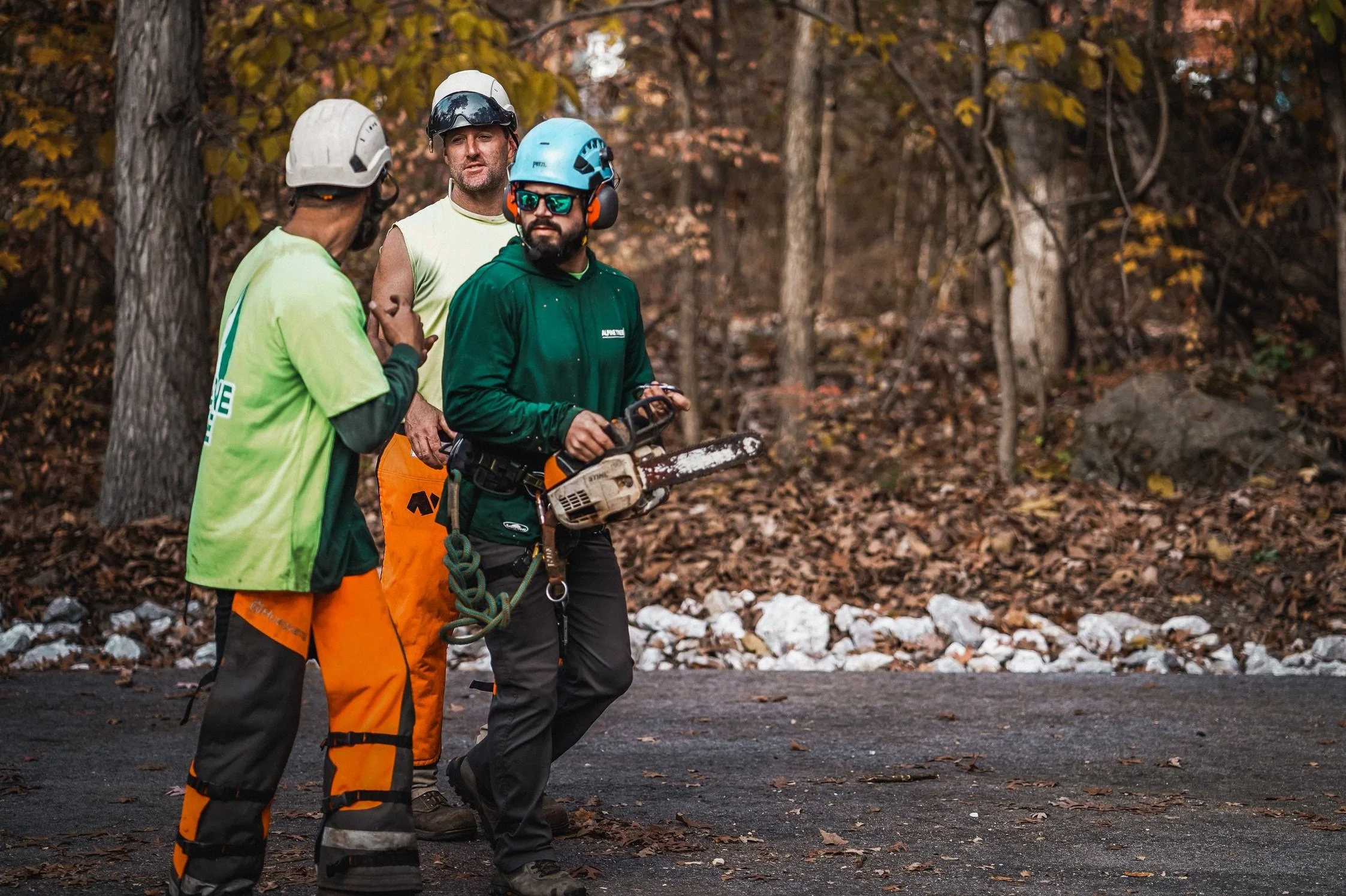 Alpine Tree Management Employment — Alpine Tree Experts, Inc.