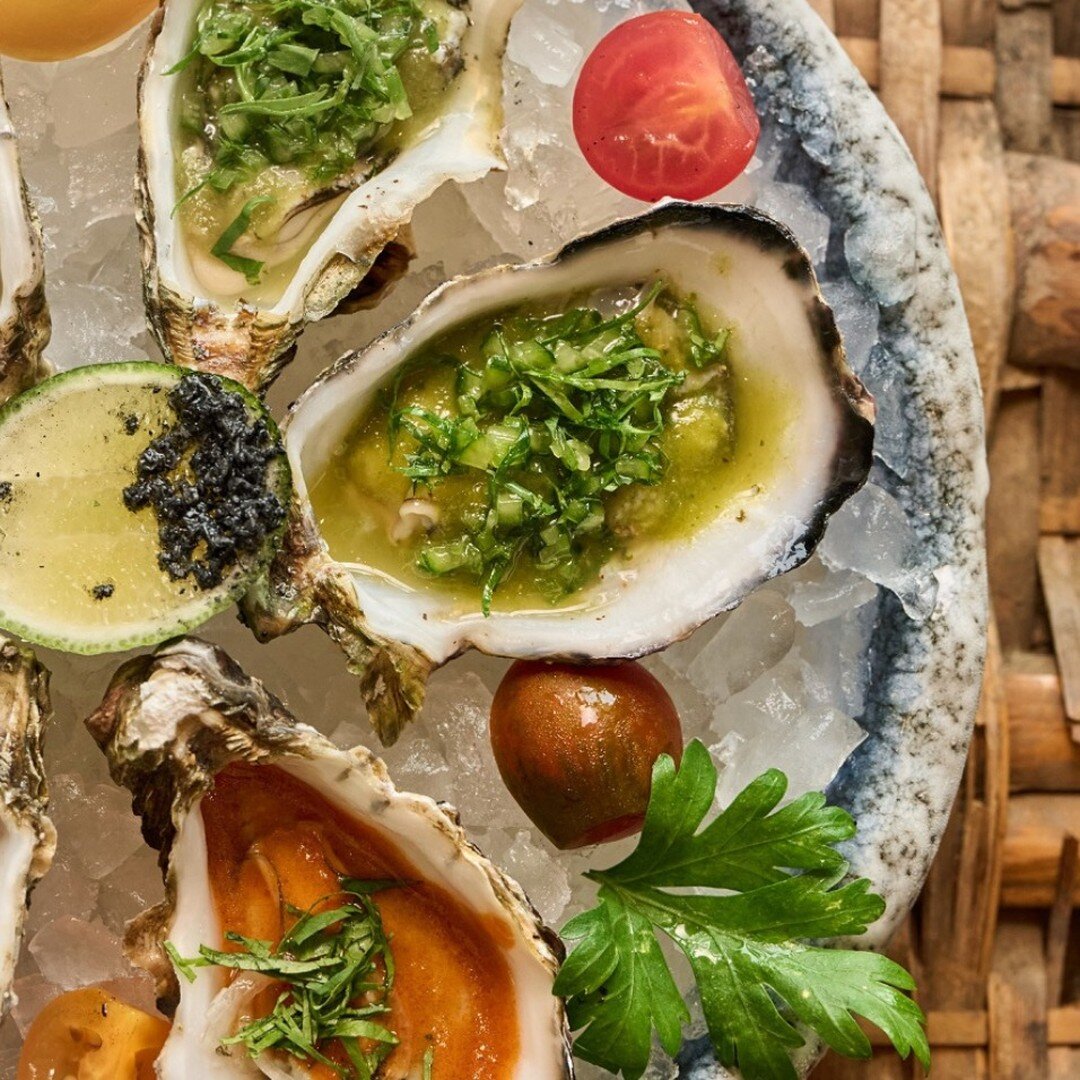 From start to finish, our De la Baja Oysters are the perfect blend to seduce your palate @toro.rivieramaya by @chefrichardsandoval