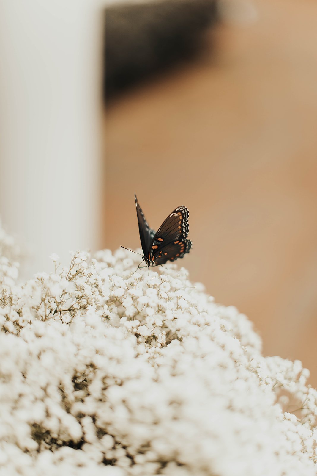 2M9A7871.jpg