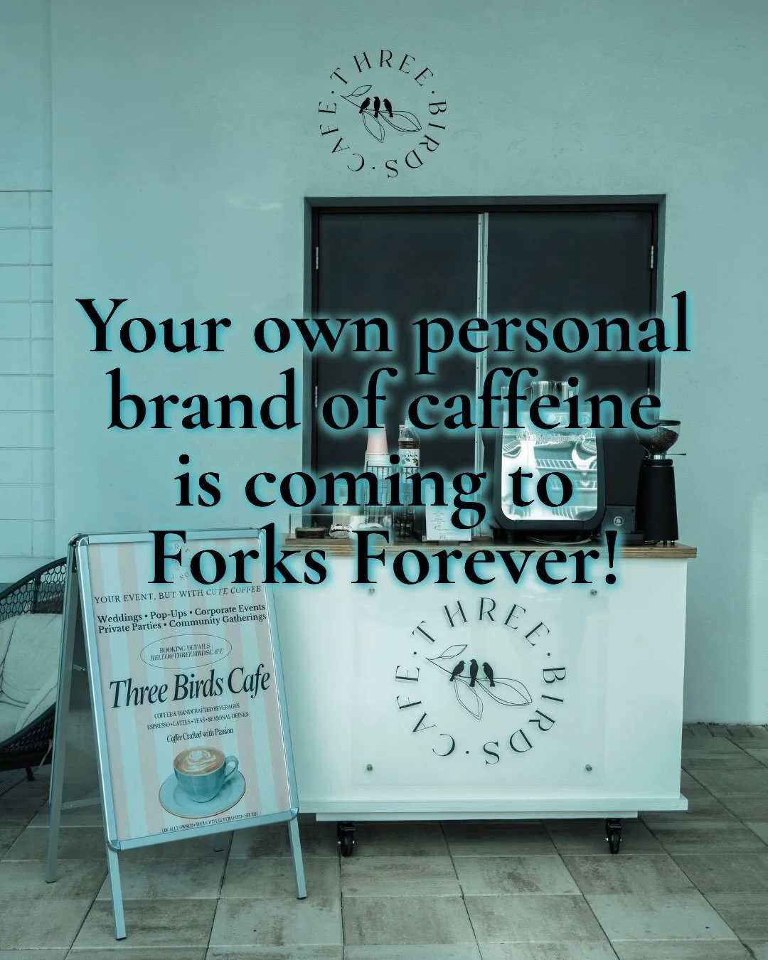 @thethreebirdscafe is joining us at @forksforeverfl this Saturday with a themed drink menu made just for the day ☕️🍎✨

If you&rsquo;ve ever wanted to spend an afternoon pretending you&rsquo;re in Forks, Washington, this is your chance. We&rsquo;re t