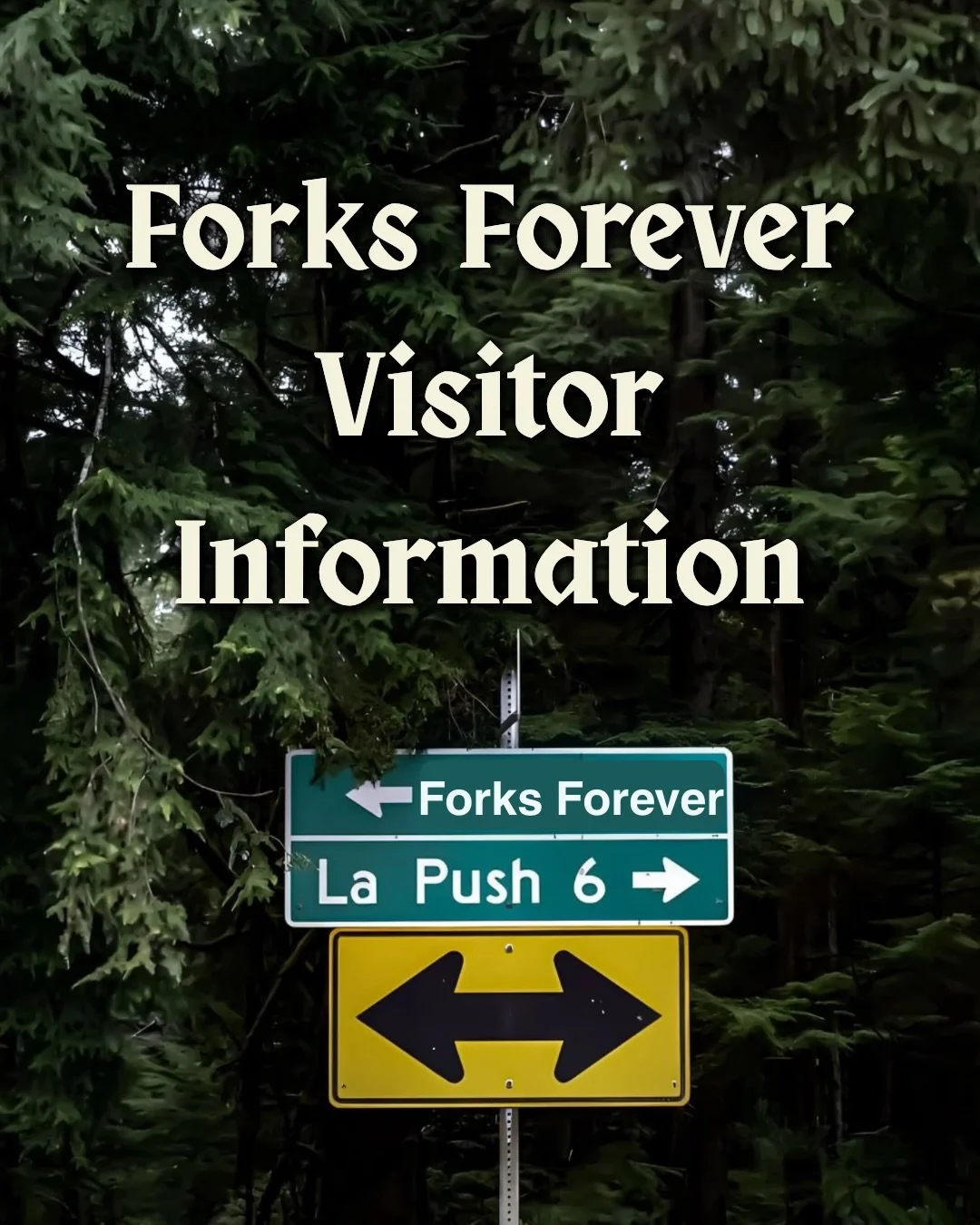 Tomorrow, we&rsquo;re going to @forksforeverfl 🌲🍎✨

Before you make the trip, here&rsquo;s everything you need to know for parking, vendors, food + drinks, photo ops, sparkle tattoos and a few surprises we&rsquo;re keeping to ourselves until you ge